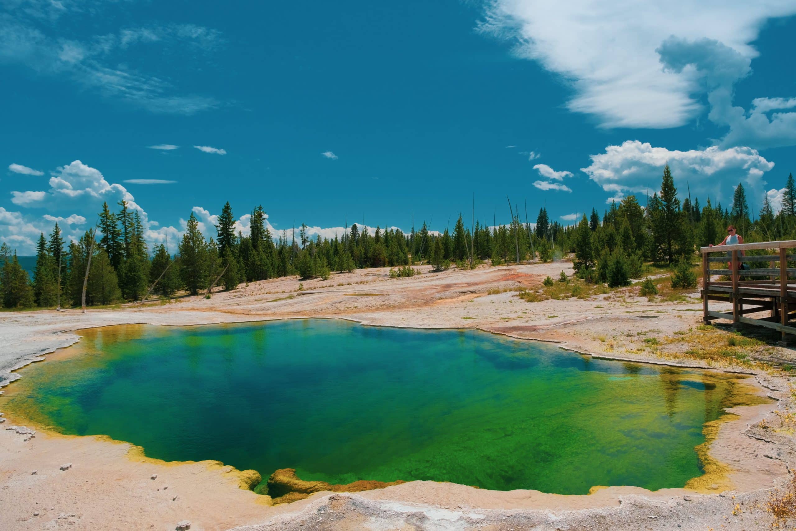 Malou dans West Thumb | le parc national de Yellowstone