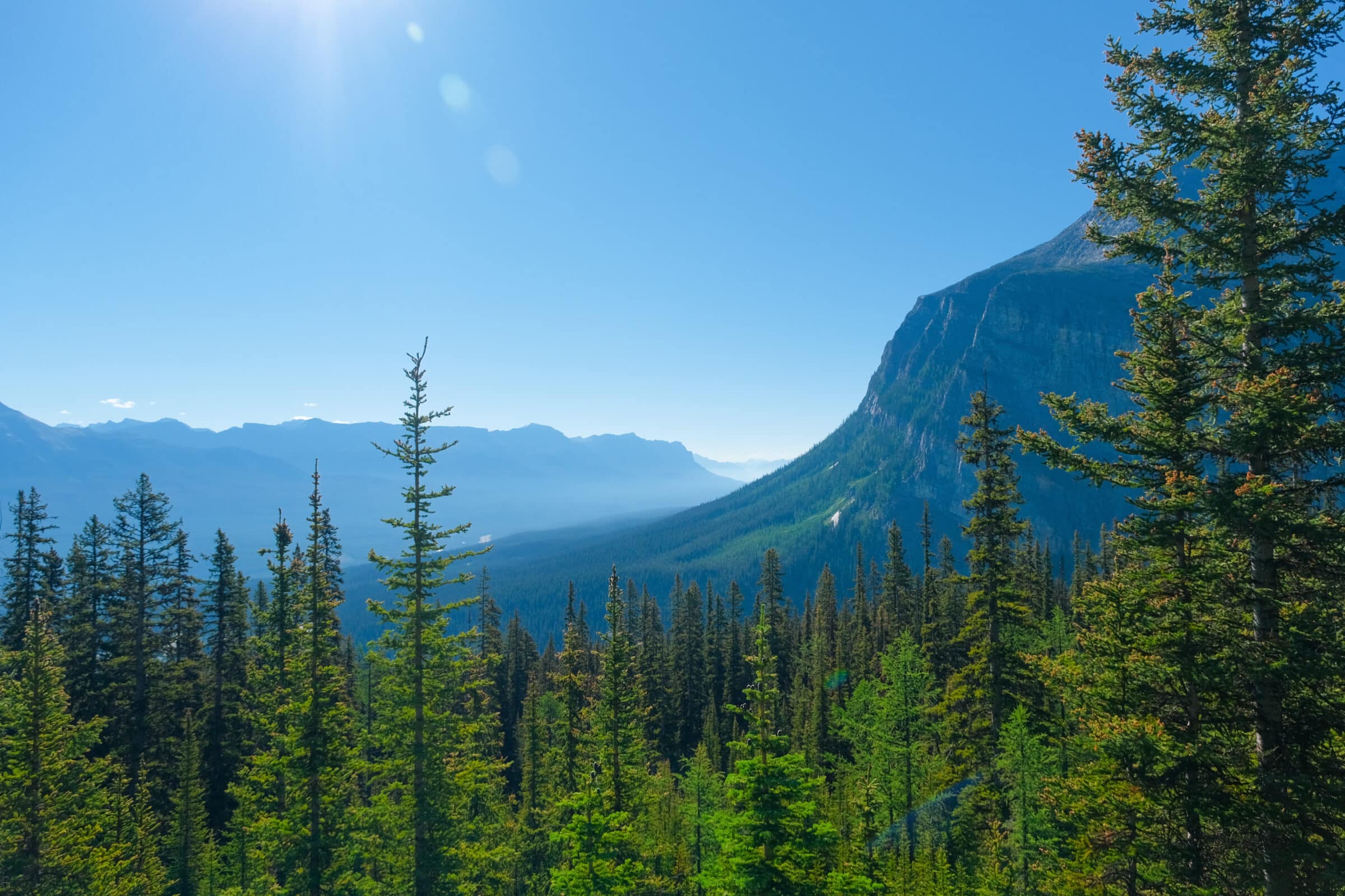 Op na Plain of the Six Glaciers | Banff Nasionale Park