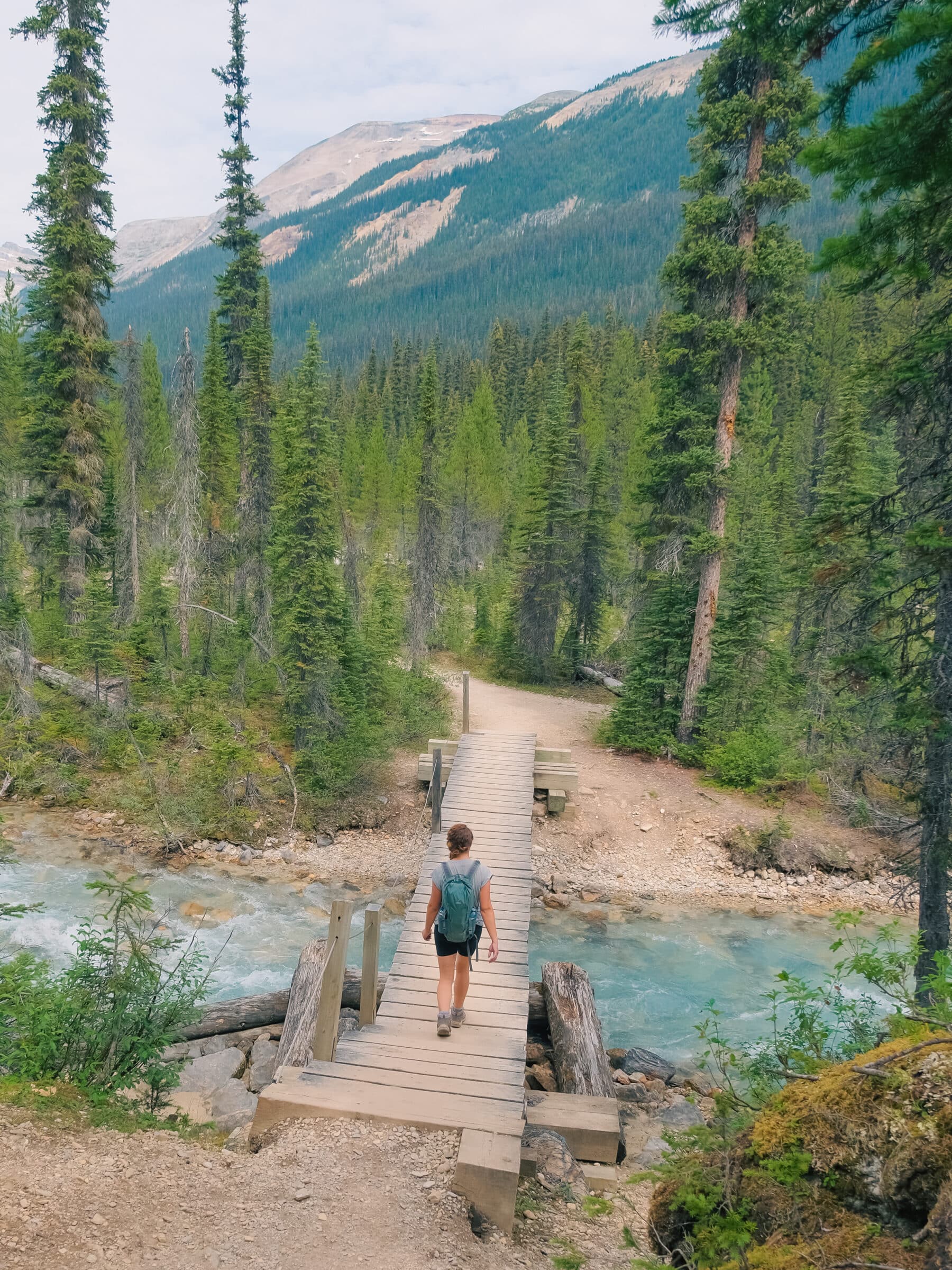 Houten bruggen over de rivieren tijdens de Iceline trail. | Tips voor Yoho National Park