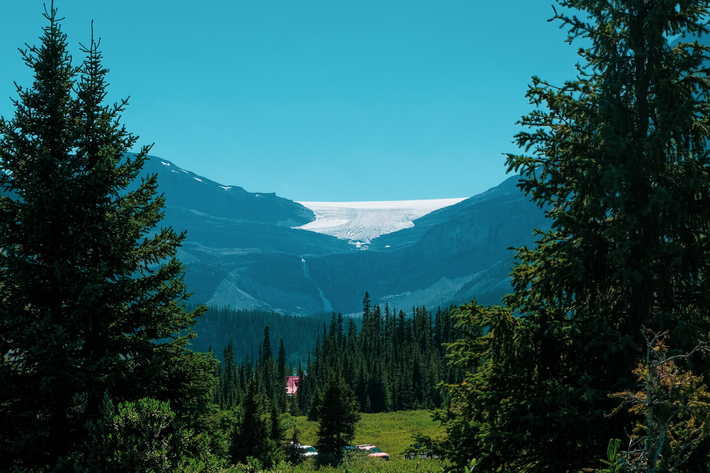 Glacier Stutfield | Conseils pour le parc national de Jasper