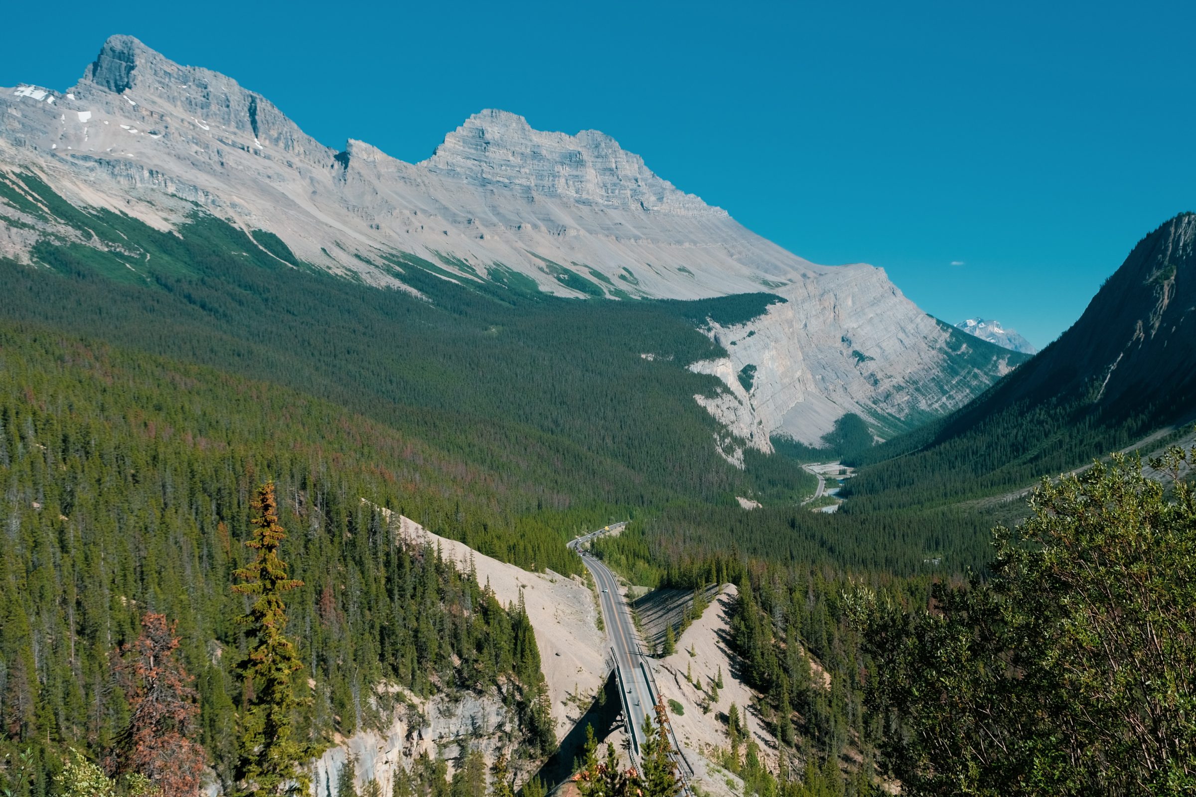 promenade des Glaciers | Conseils pour le parc national de Jasper