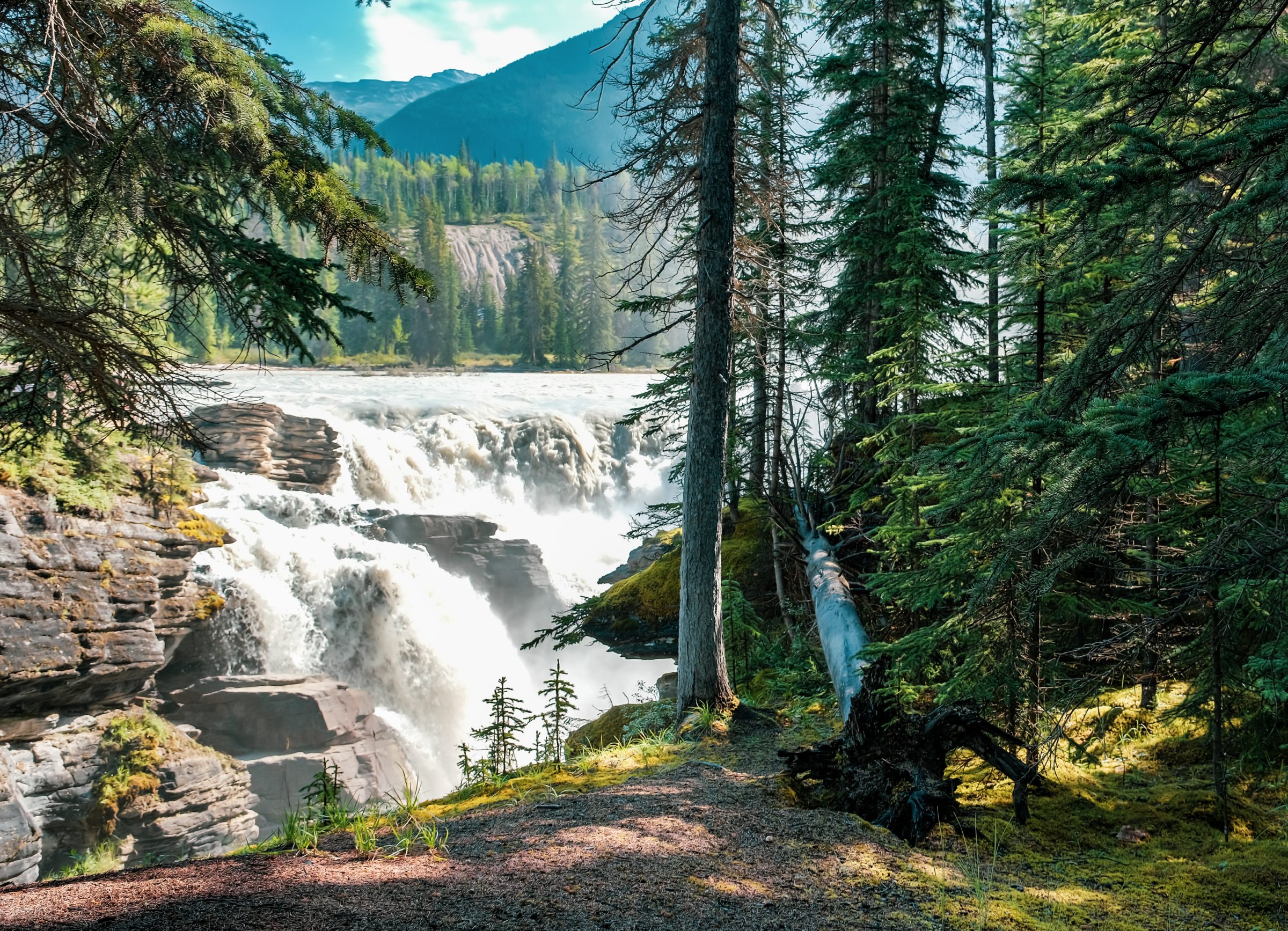 Athabasca Falls  | Tips voor Jasper National Park
