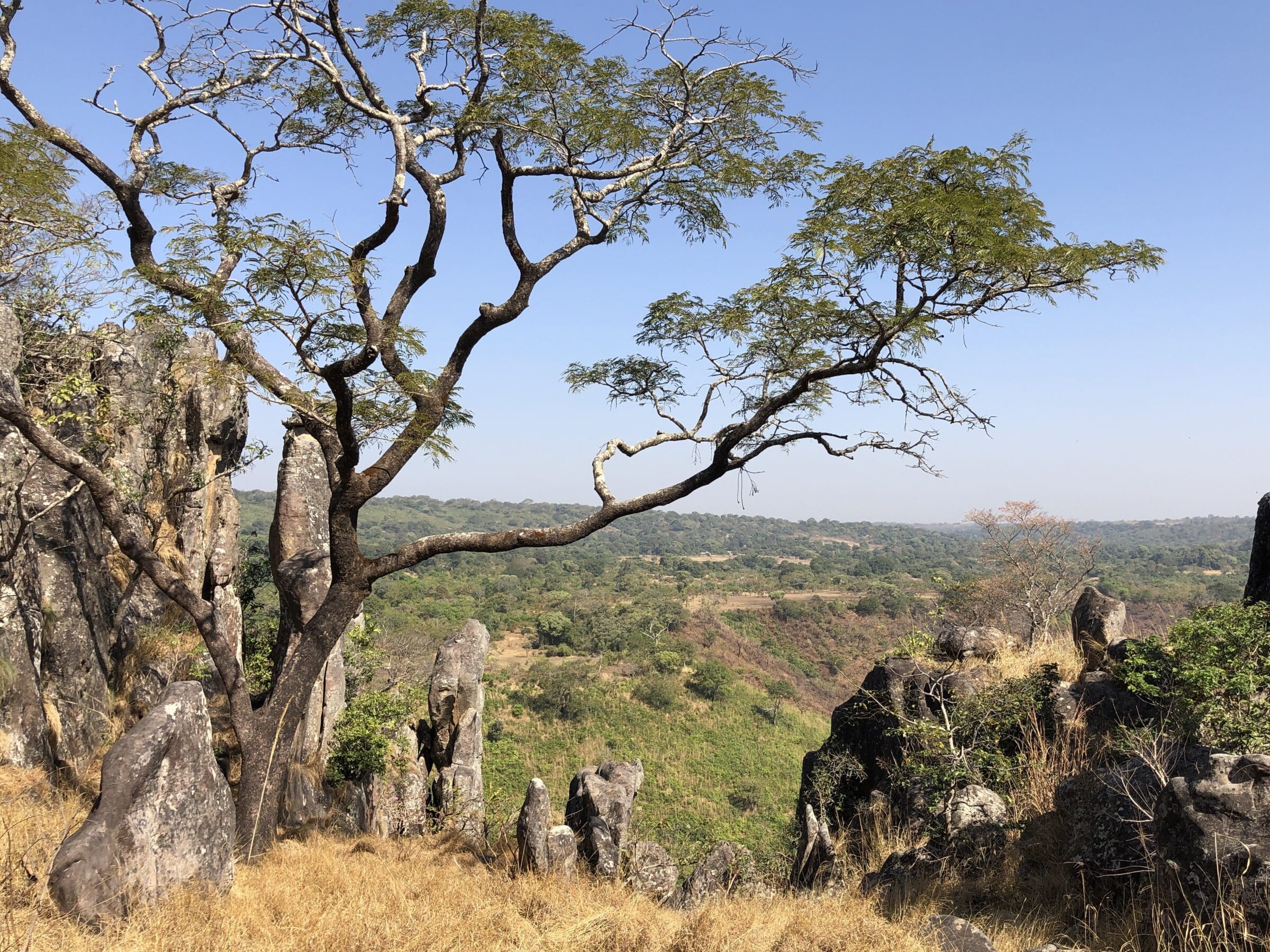 Vue à travers le Fouta Djallon | Doucki, Guinée