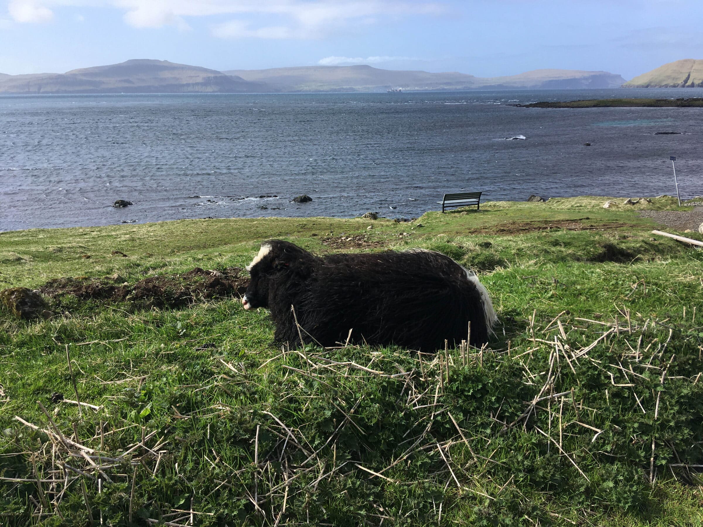 The Faroe Islands