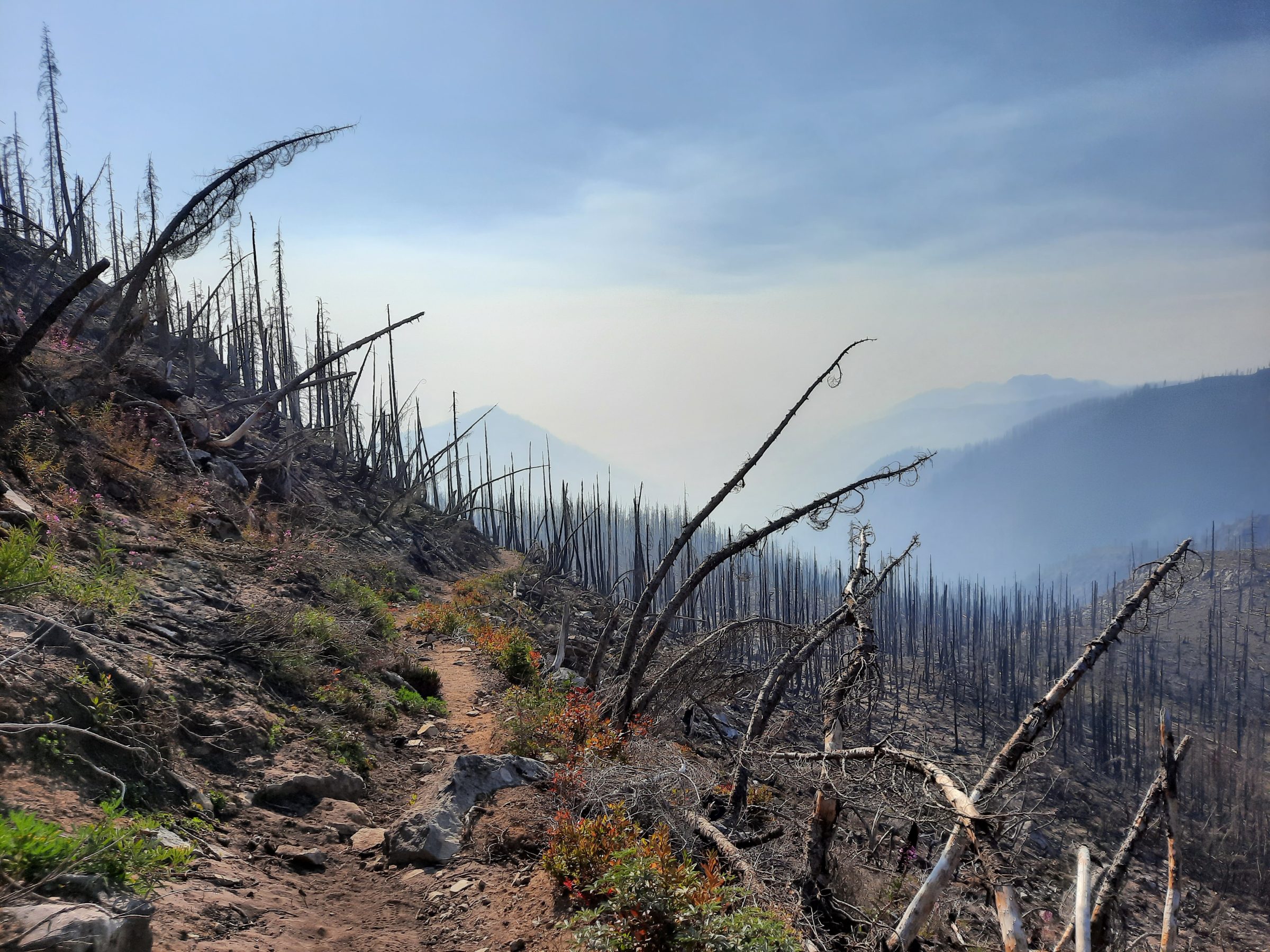 Gebied getroffen door bosbranden in Californië