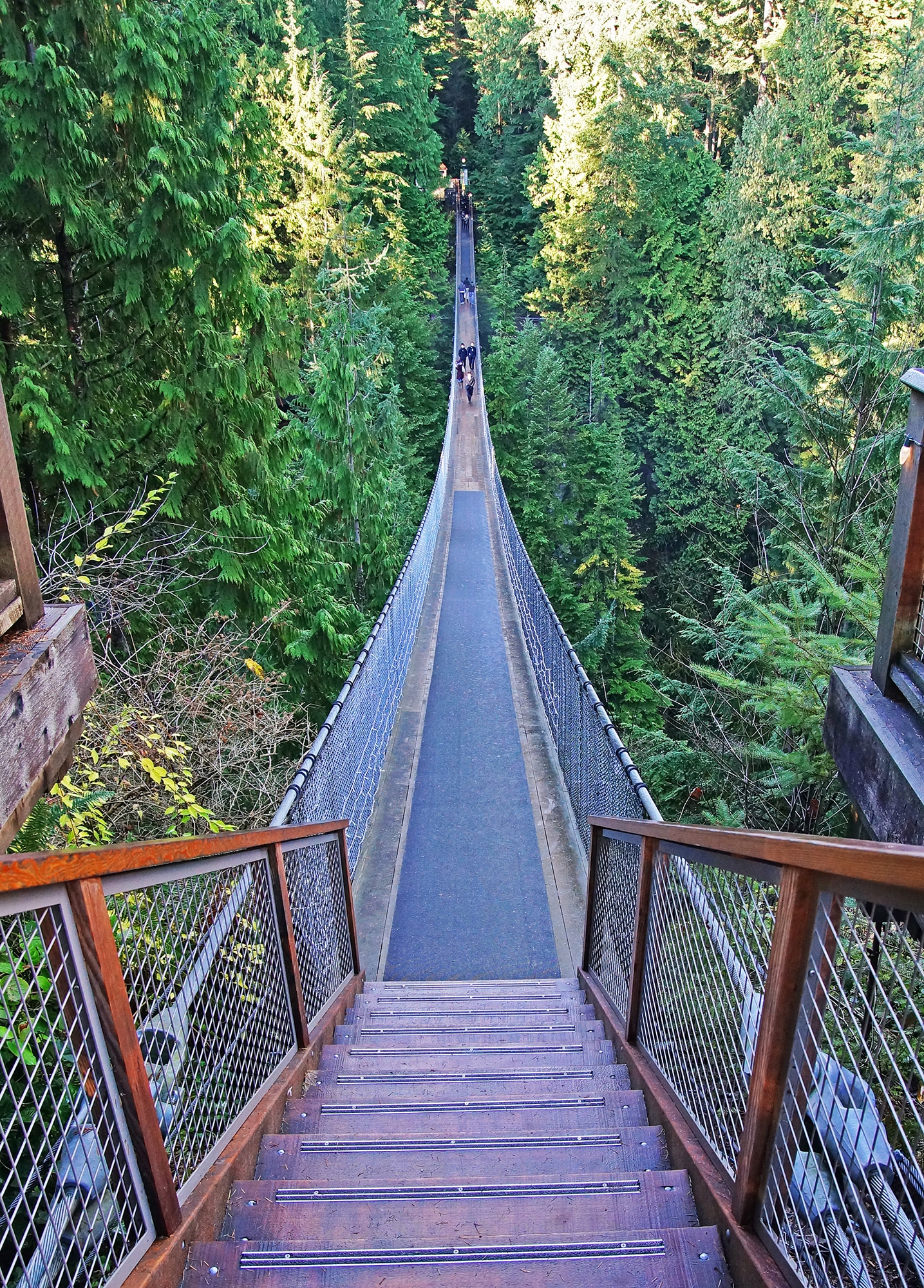 Capilano Hängebrückenpark | Tipps für Vancouver