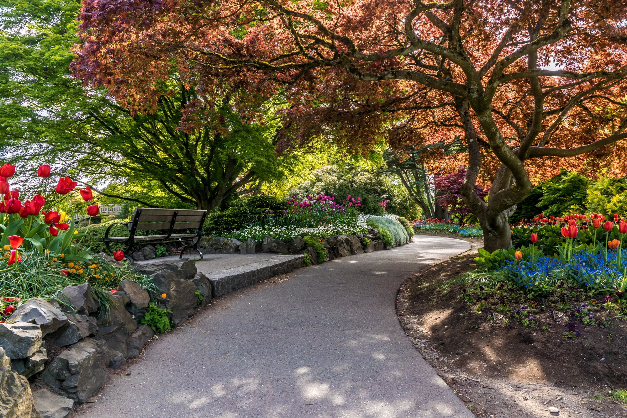 Queen Elizabeth Park | Tips voor Vancouver