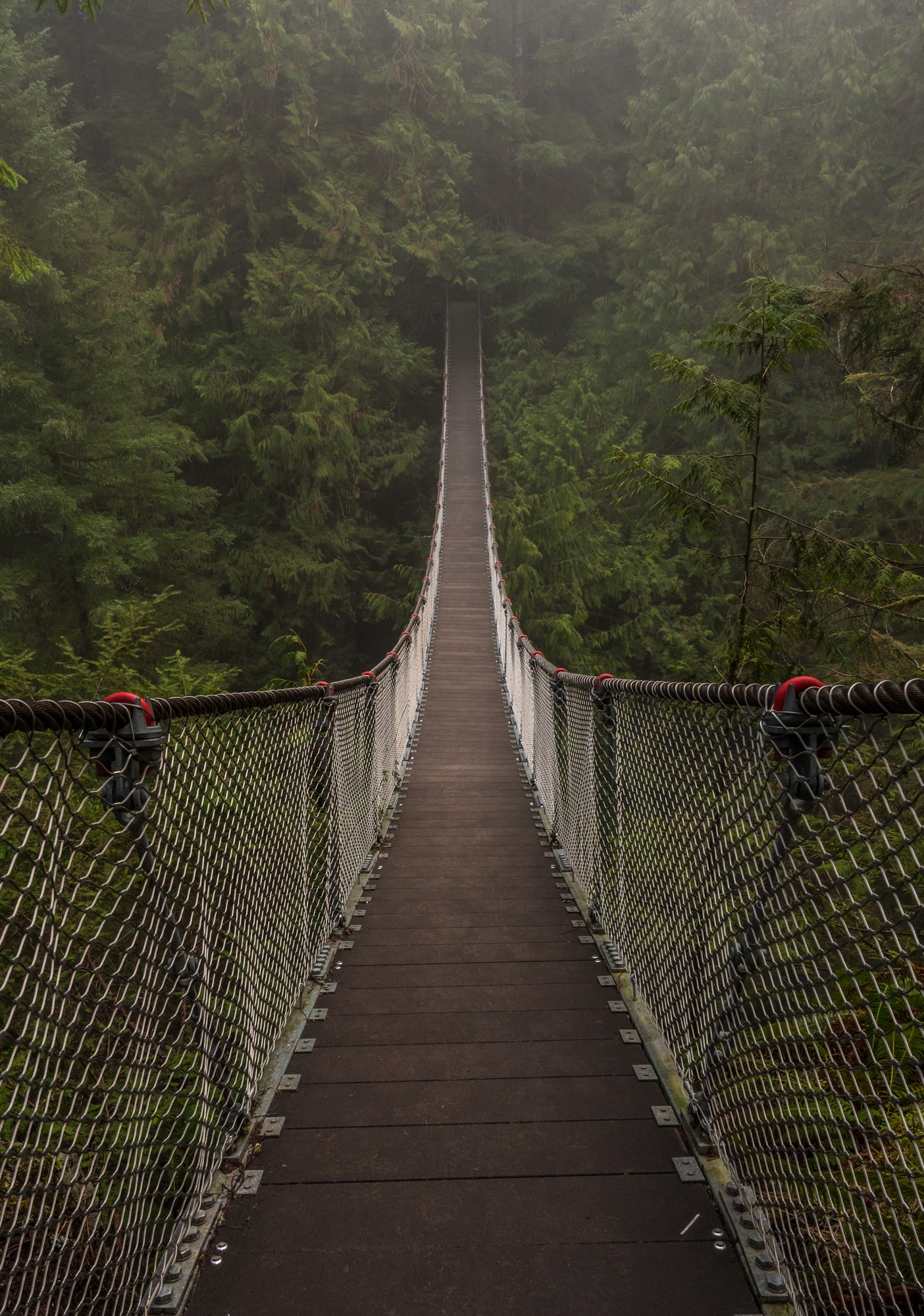 Hängebrücke im Lynn Canyon Park | Tipps für Vancouver
