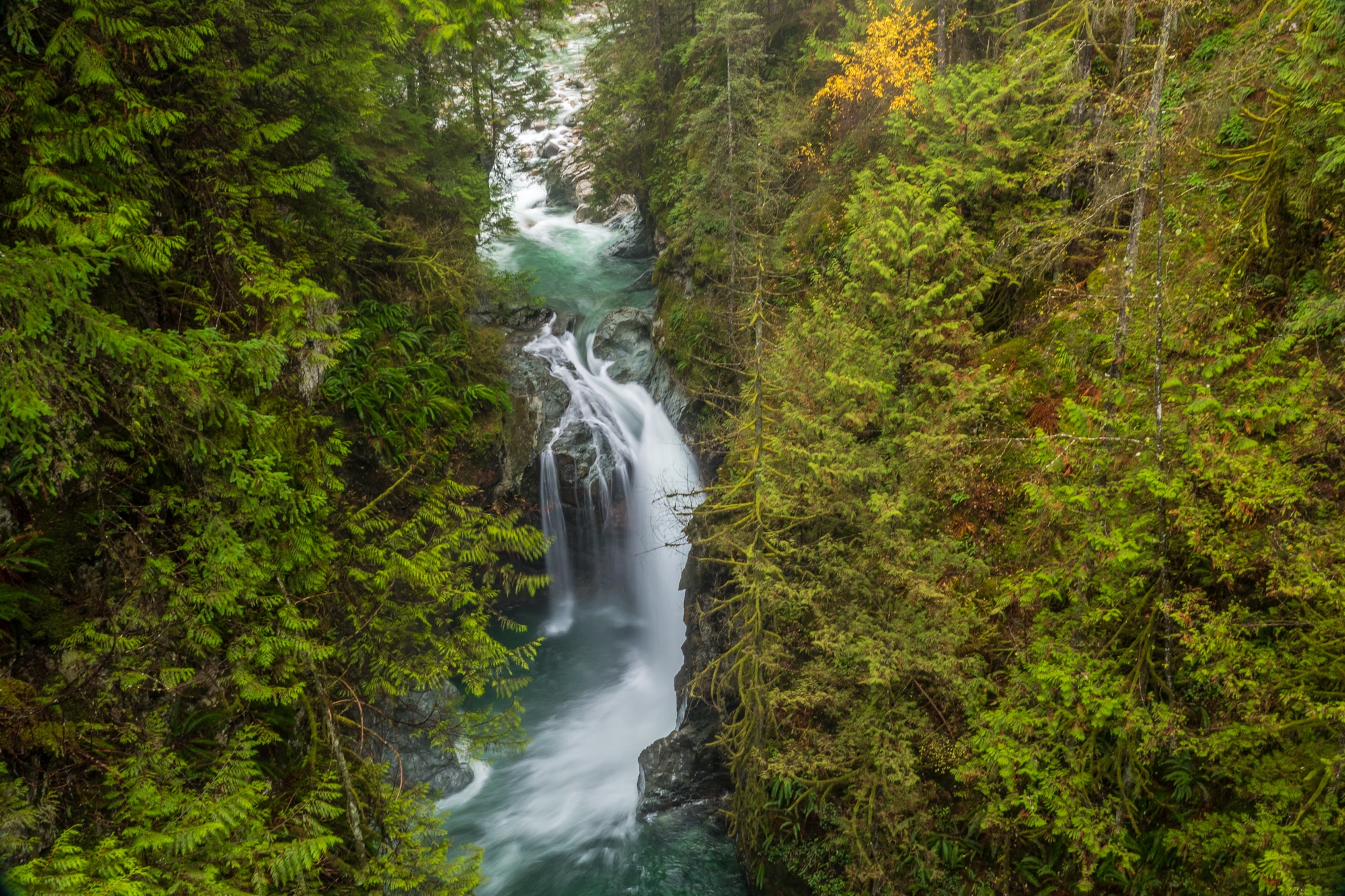 Wasserfall im Lynn Canyon Park | Tipps für Vancouver