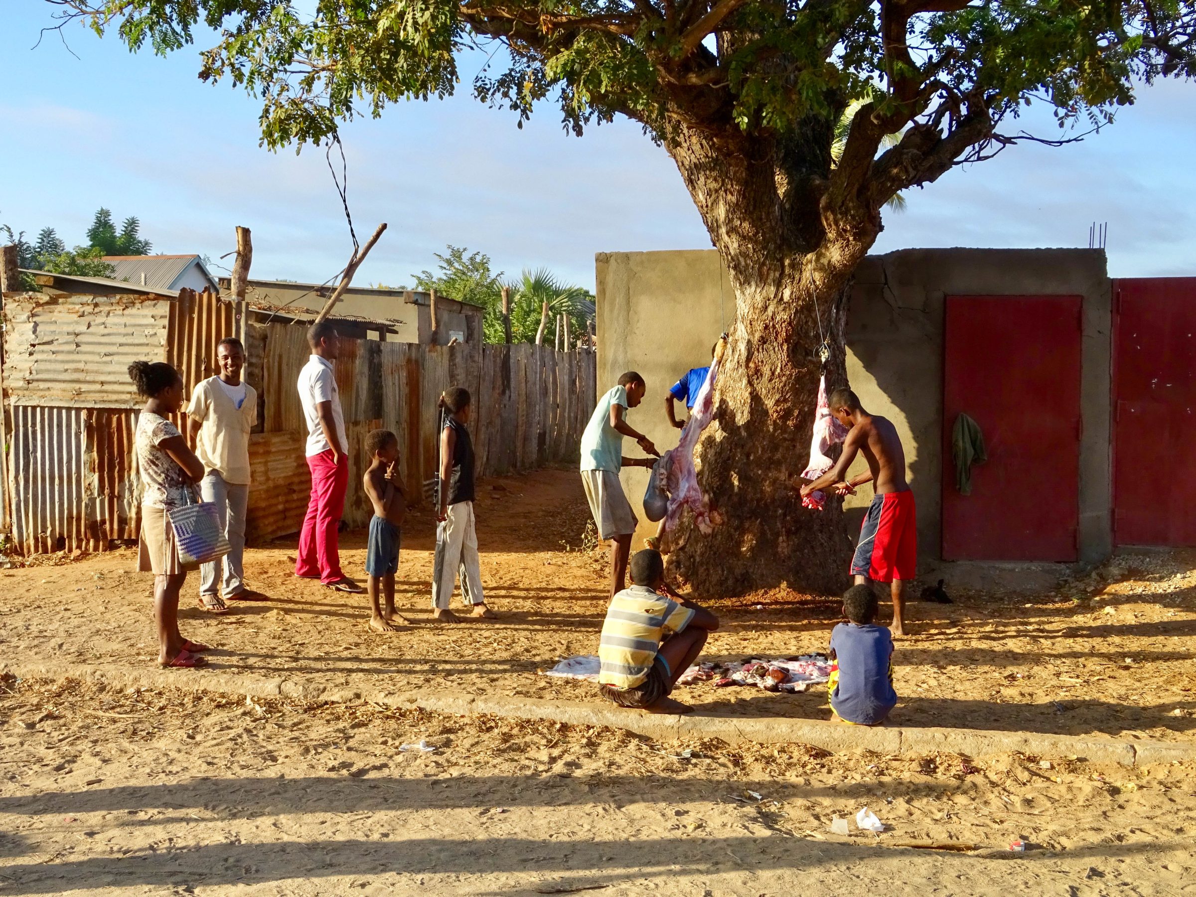 Geiten slachten in Belo-sur-Tsiribihina