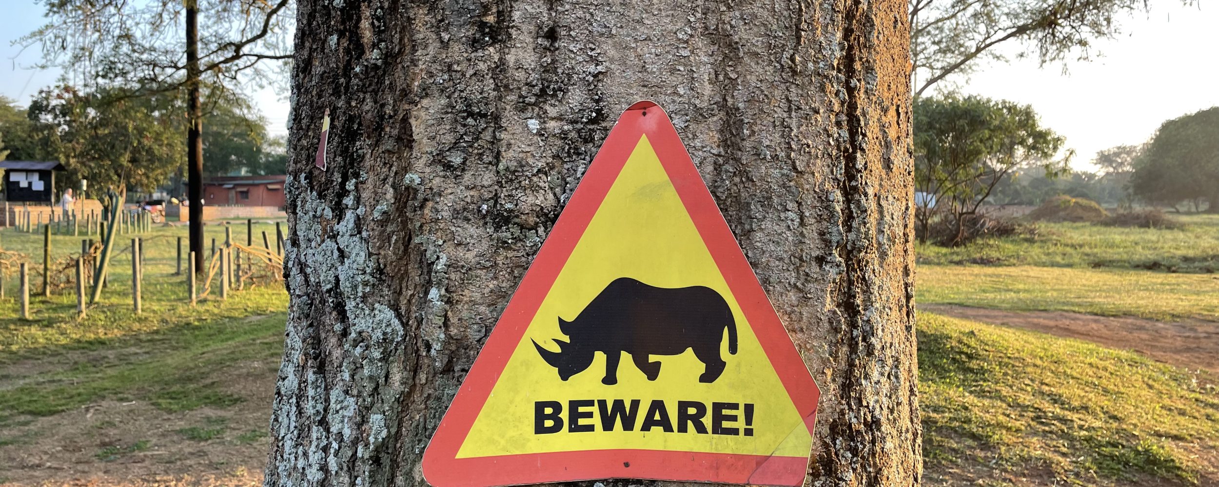 Beware of Rhino's (Ziwa Rhino Sanctuary)