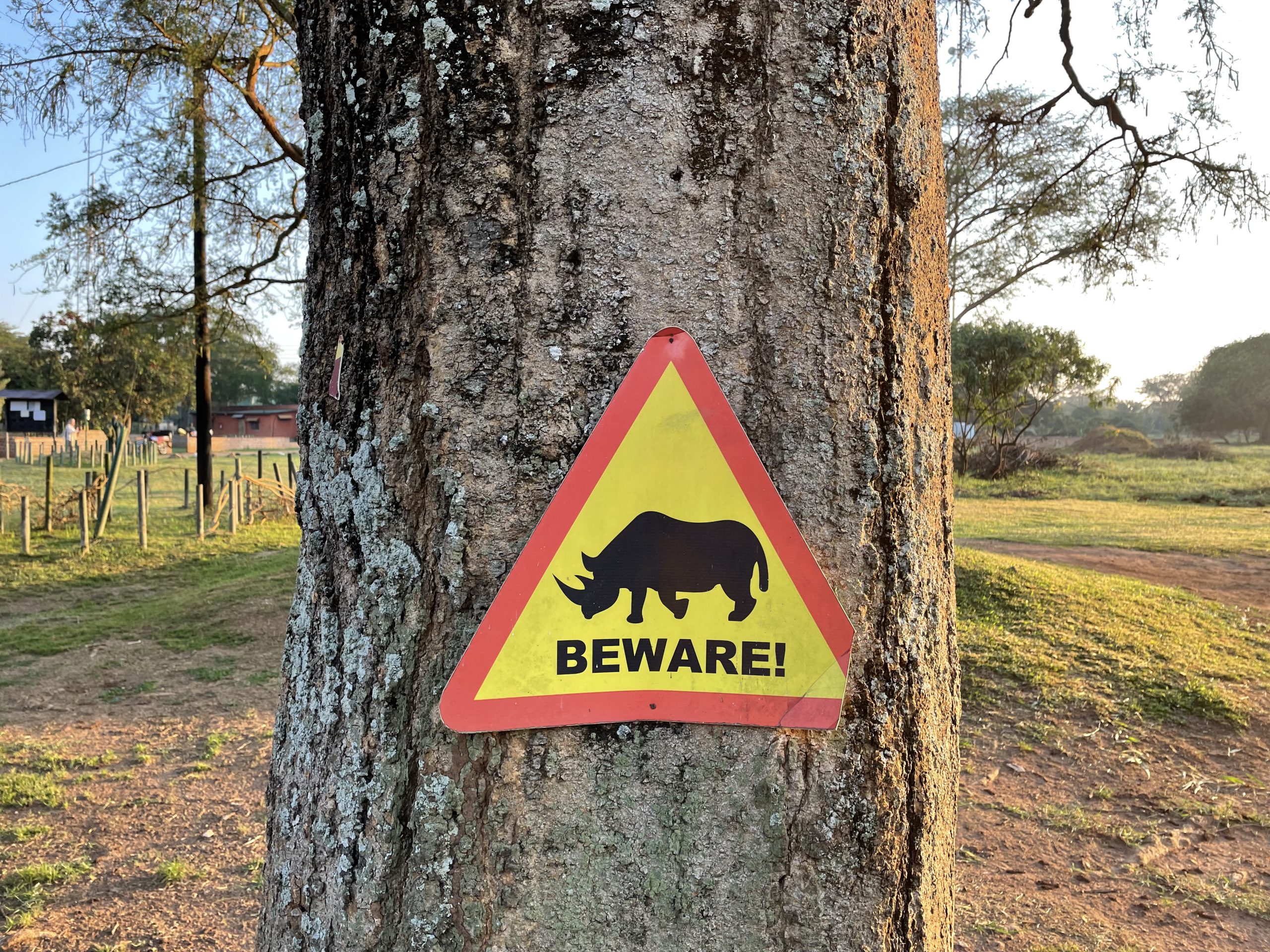 Beware of Rhino's (Ziwa Rhino Sanctuary)