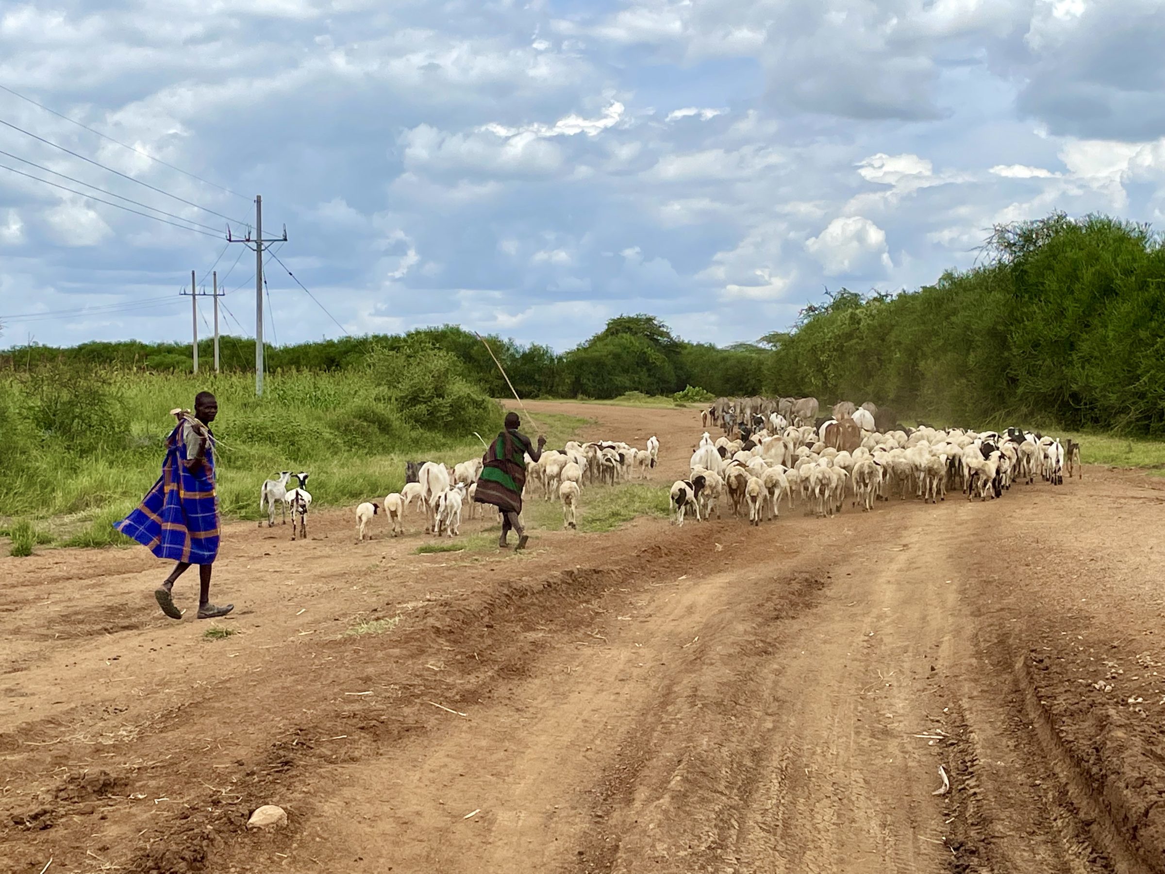Karamoja herders op een onmogelijke zandpiste richting Moroto