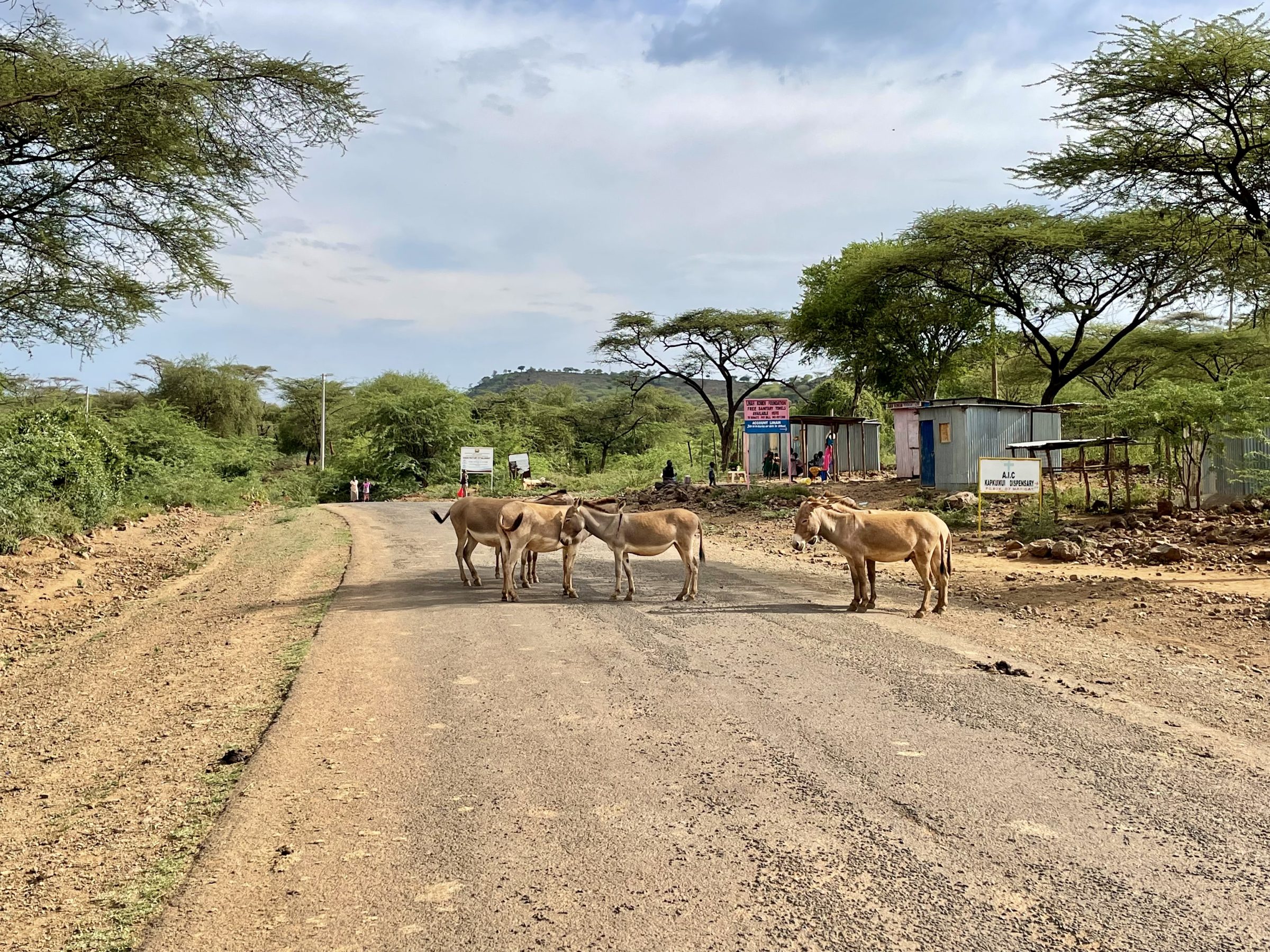 Verkeer op de weg naar Lake Bogoria