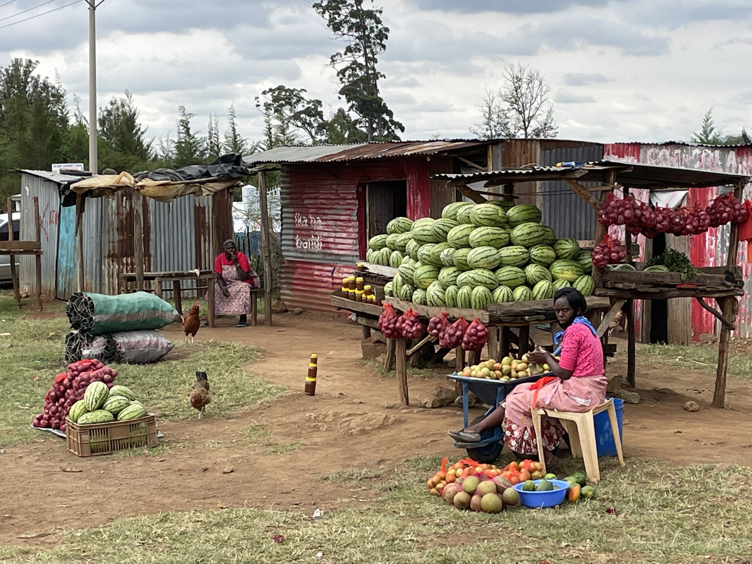 Meloenen en mango verkoop nabij Mogotio
