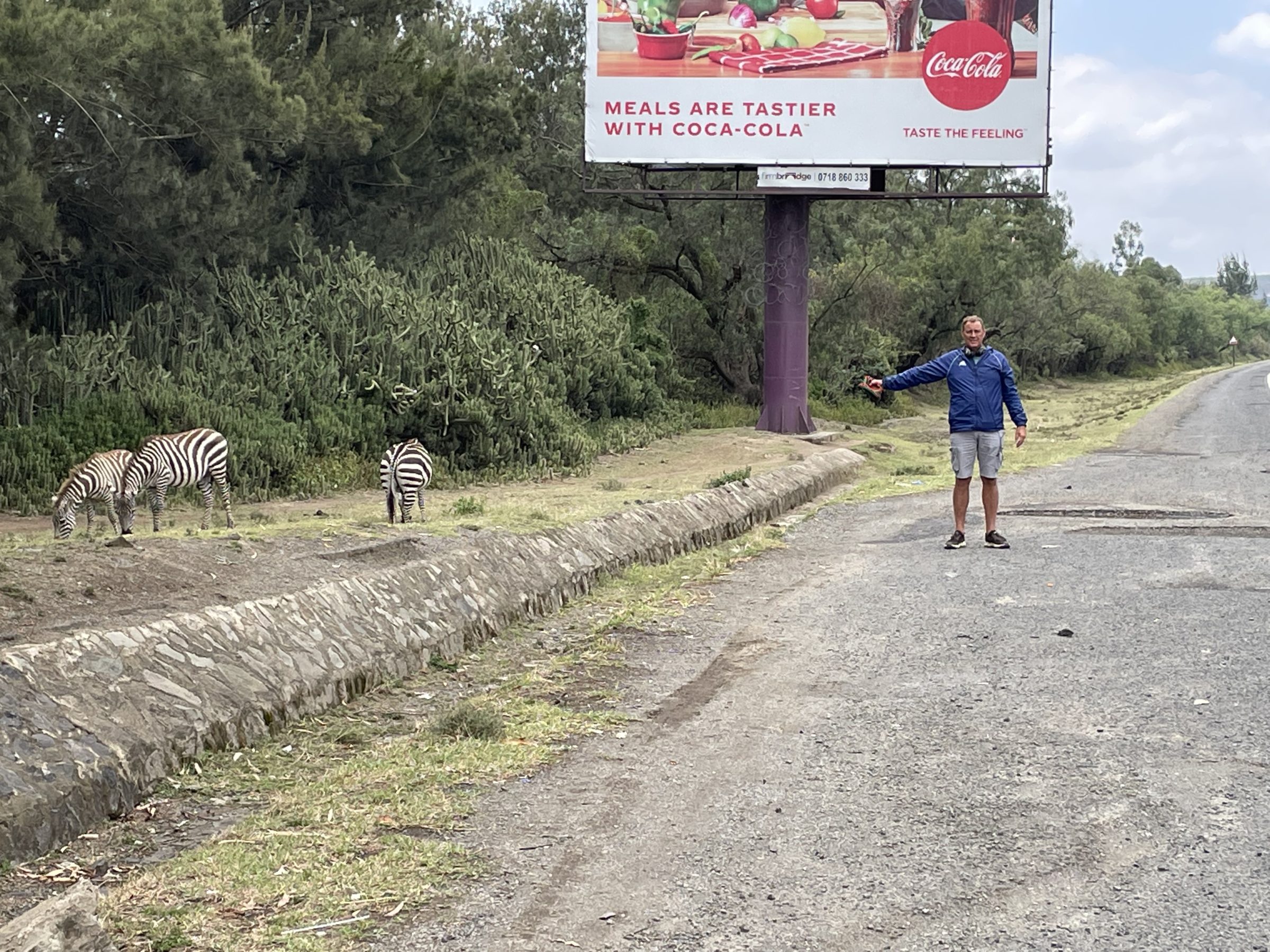 Zebra's langs de snelweg bij Naivasha