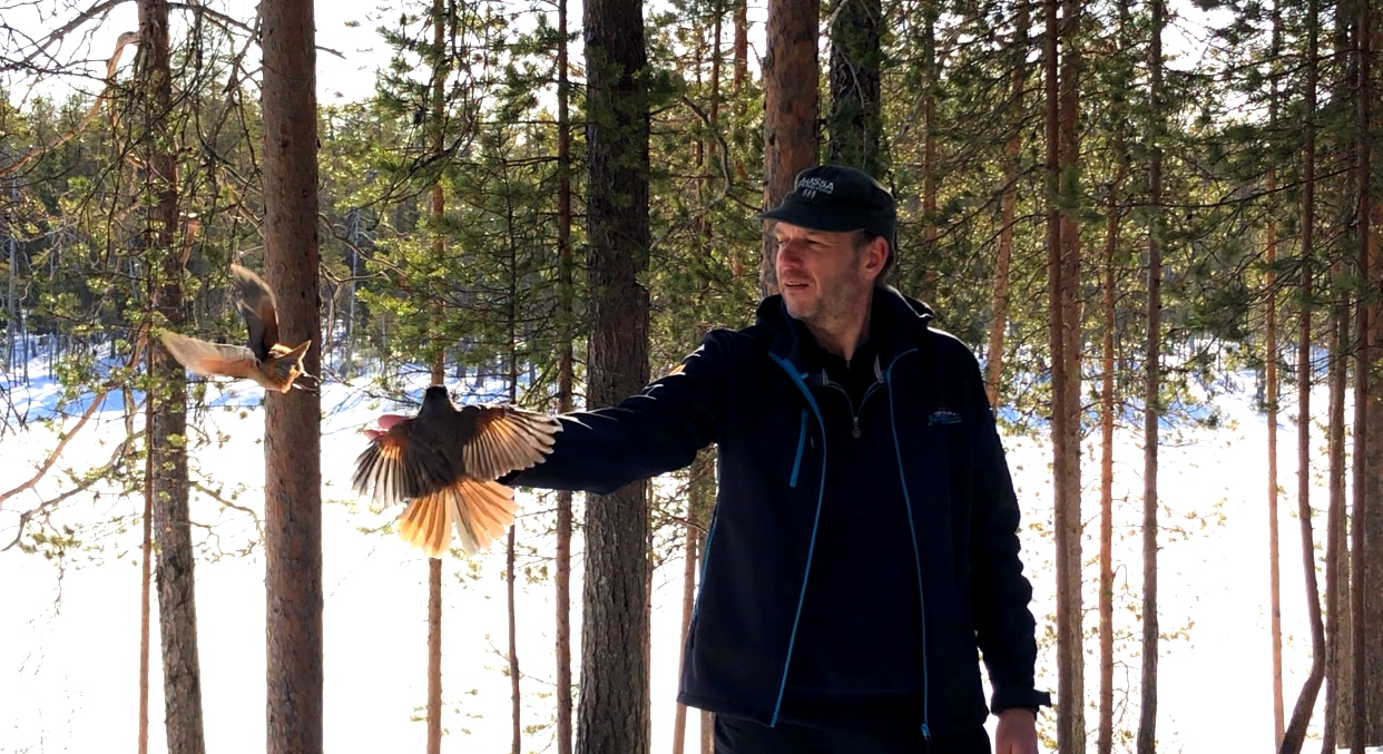 Nationaal Park Oulanka | Vogels voeren