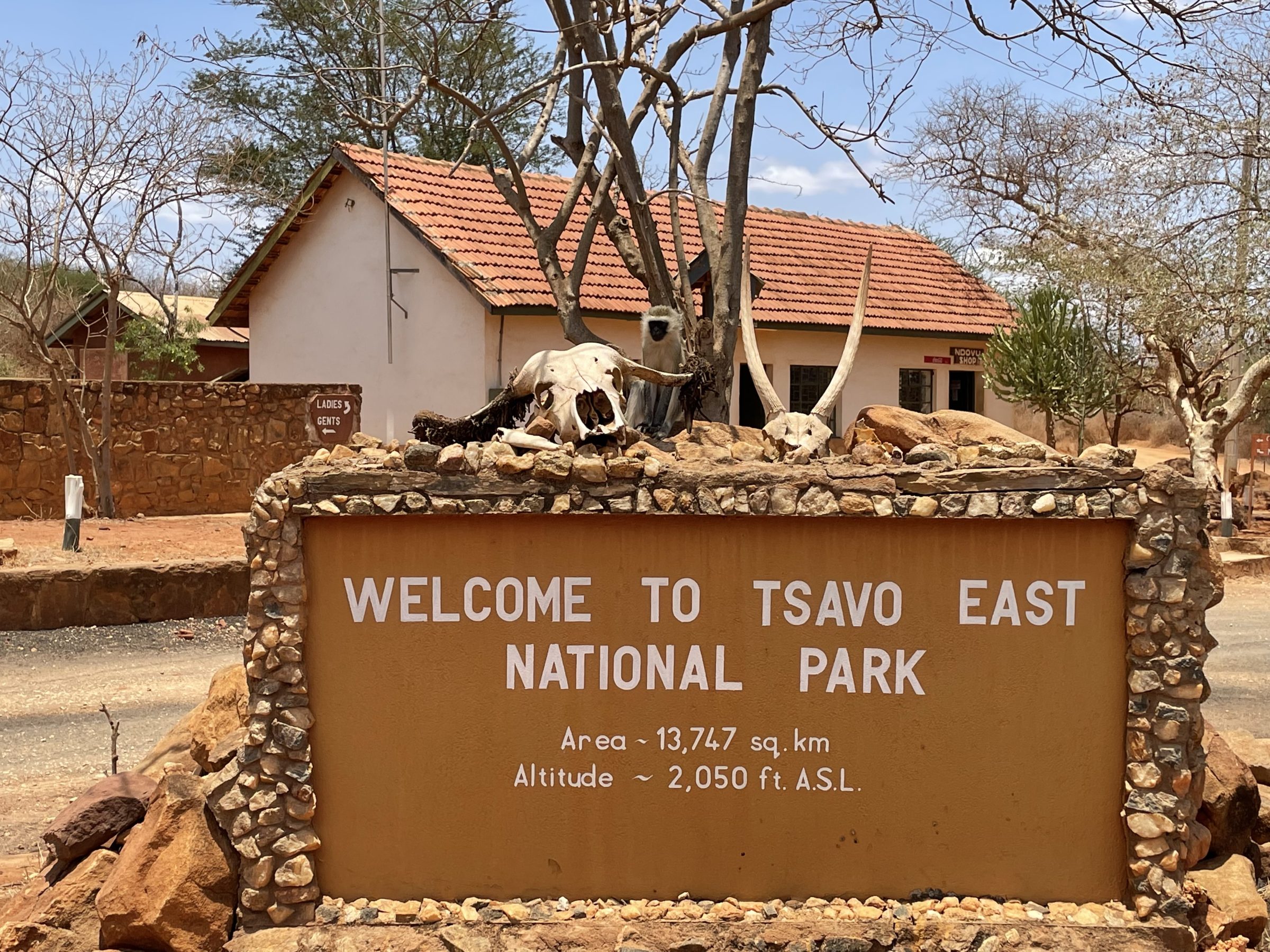 Welcome to Tsavo East NP