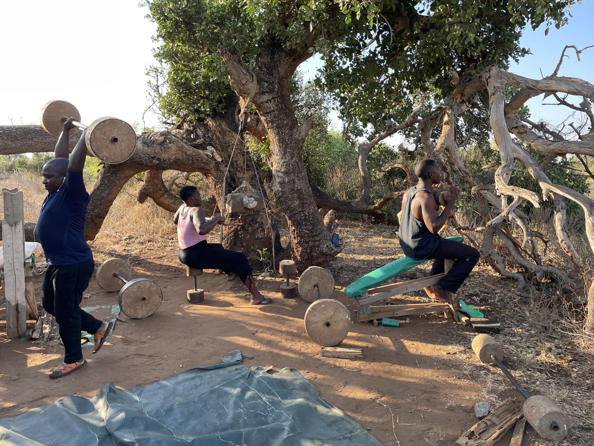 De jungle gym van Sentrim Tsavo East