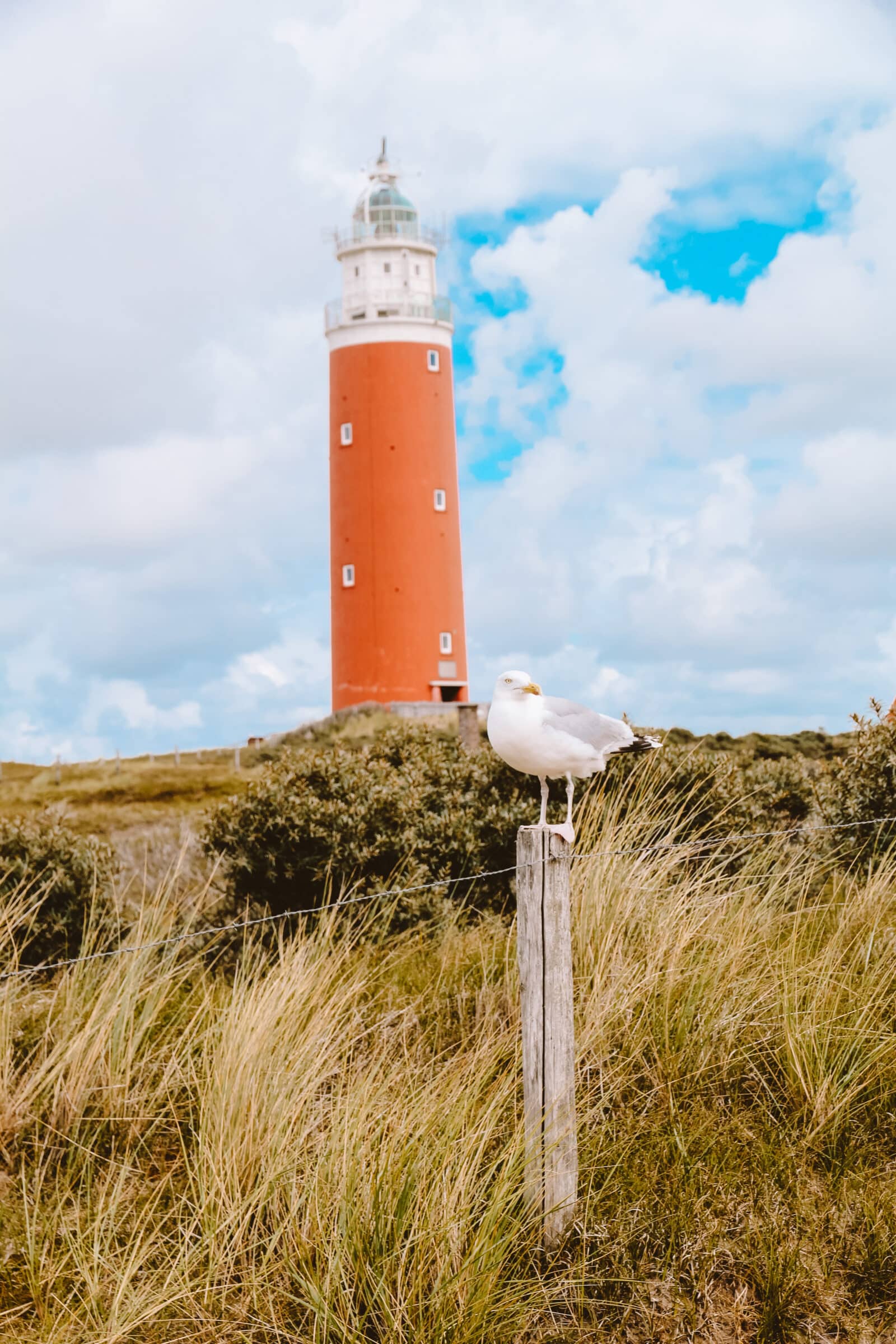 Vuurtoren Texel