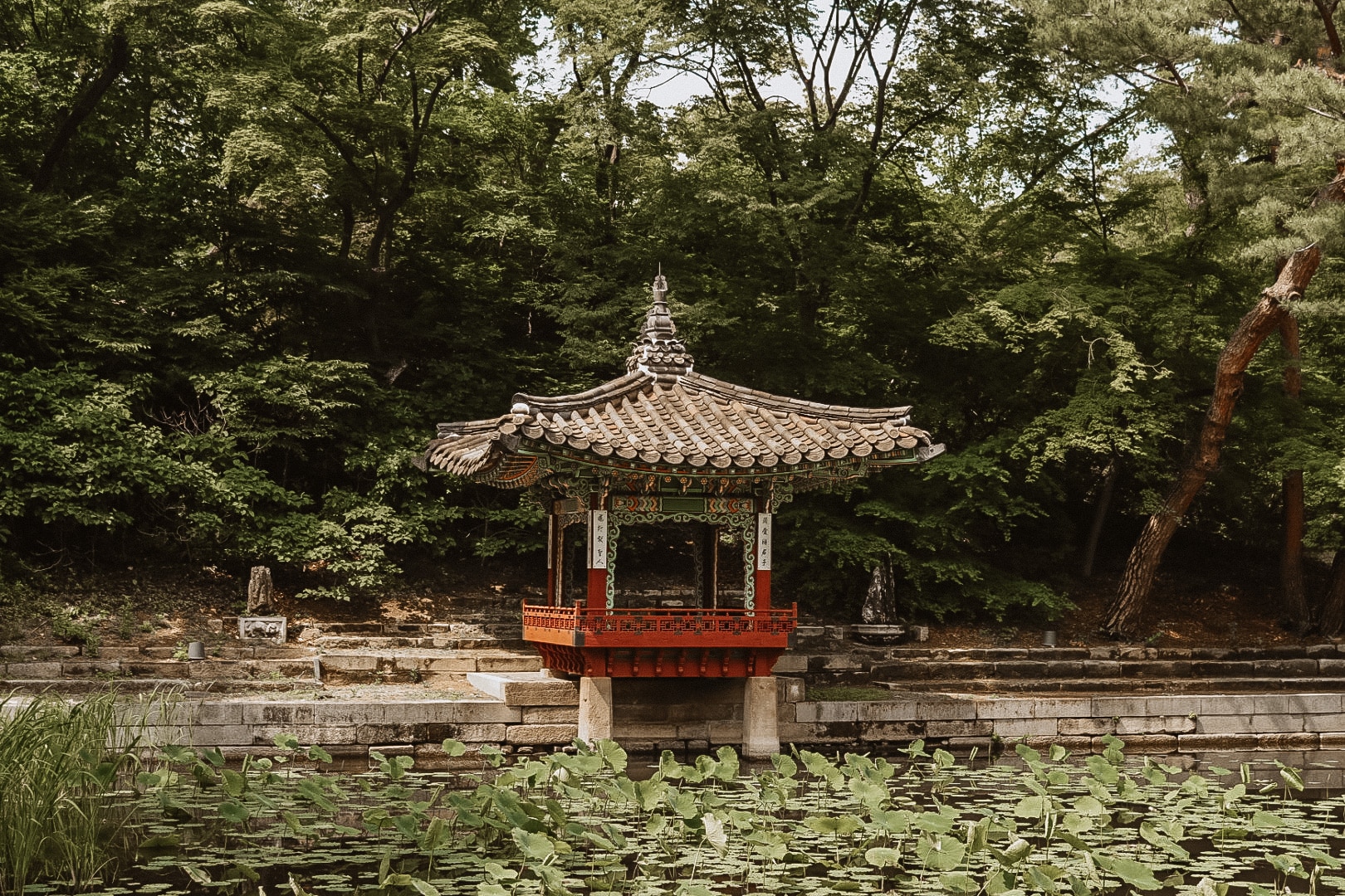 Secret garden in Changgyeonggung Palace | Tips voor Seoul