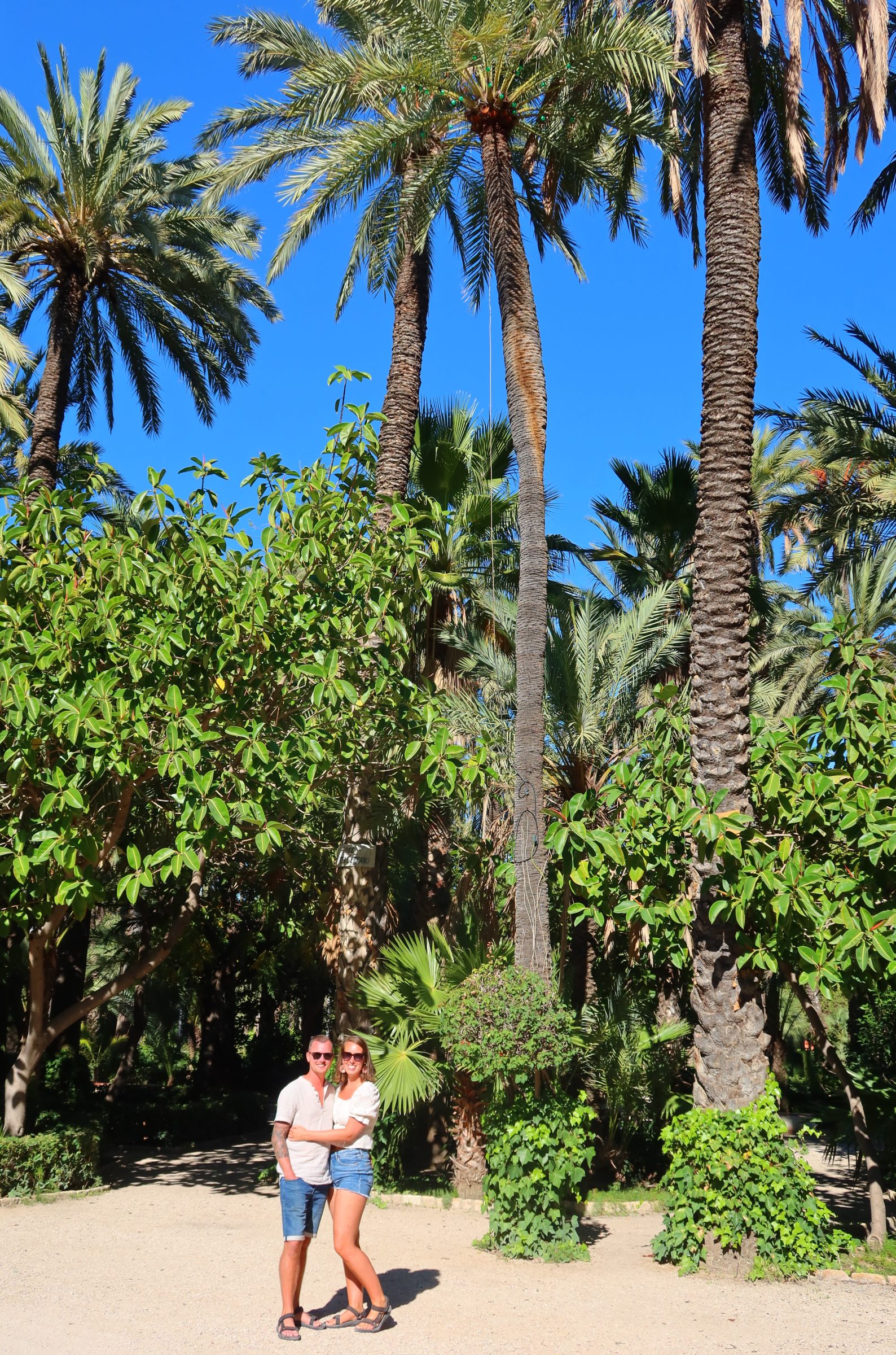 De vele palmbomen in Elx | Tips voor Oost-Spanje met de camper
