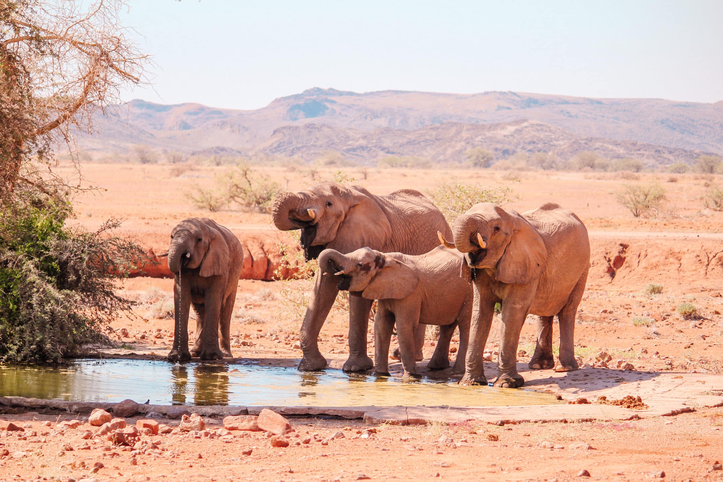 La Namibia, un paese sicuro e fotogenico senza precedenti