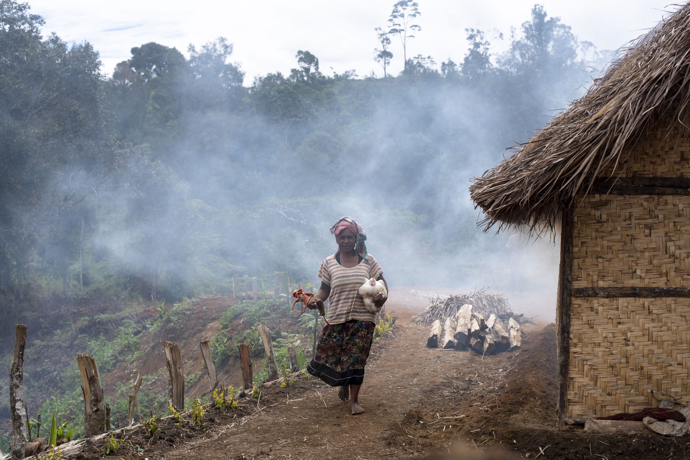 Vrouw komt in Papoea-Nieuw-Guinea met kip voor de lunch aanlopen