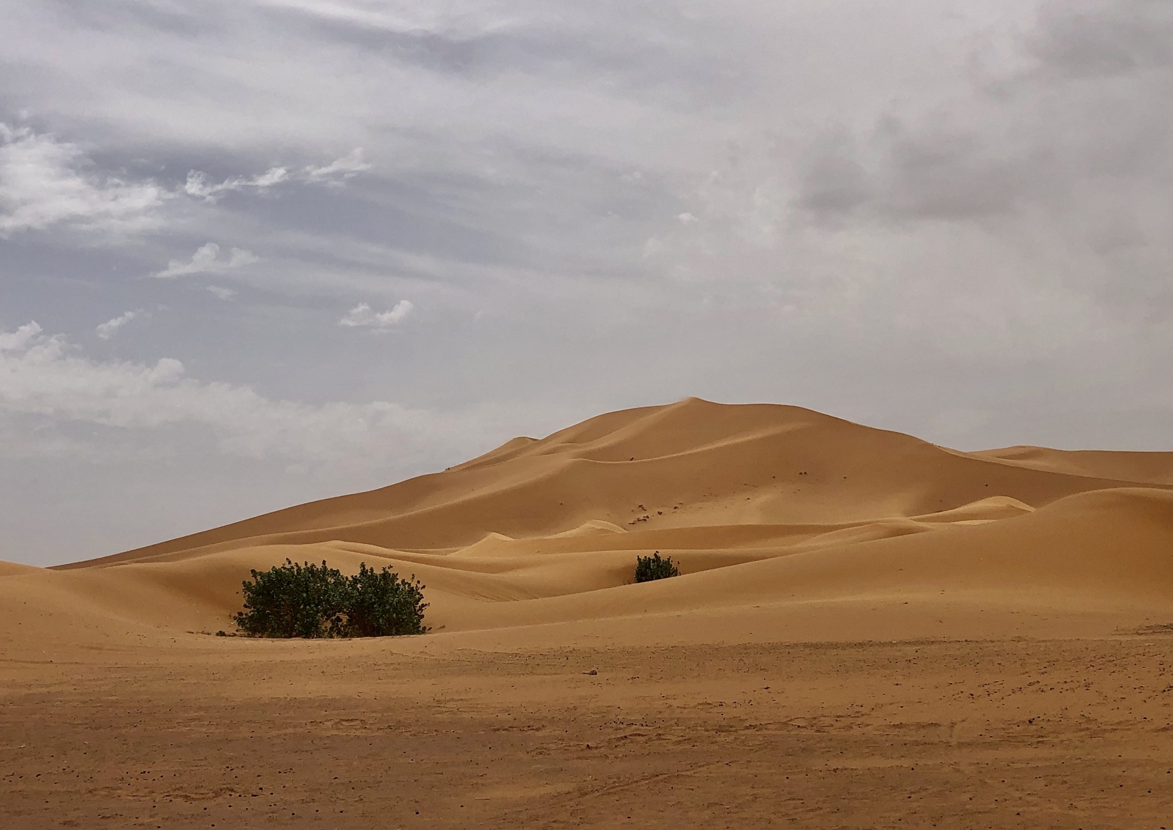 Onwaarschijnlijk mooi landschap in de woestijn | Overlanden in Marokko