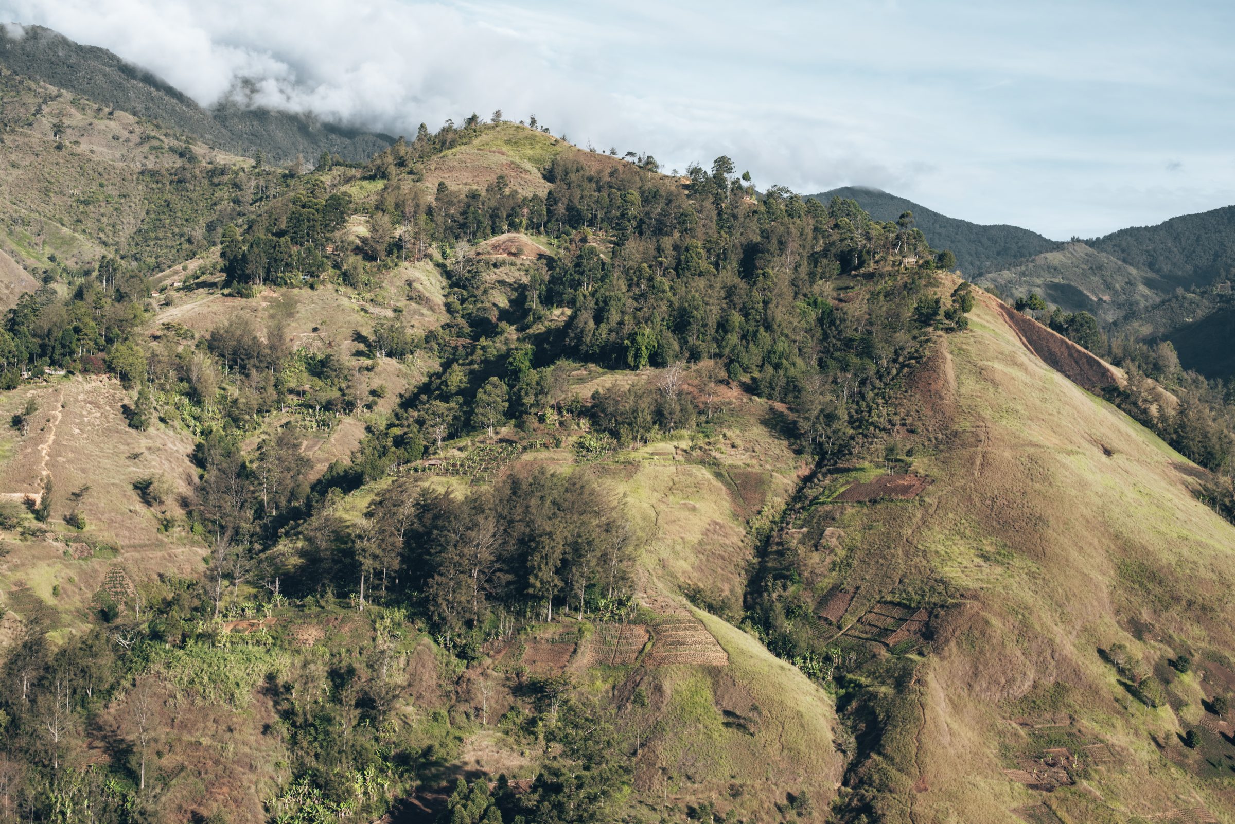 Roadtrip door dit prachtige landschap van Papoea-Nieuw-Guinea