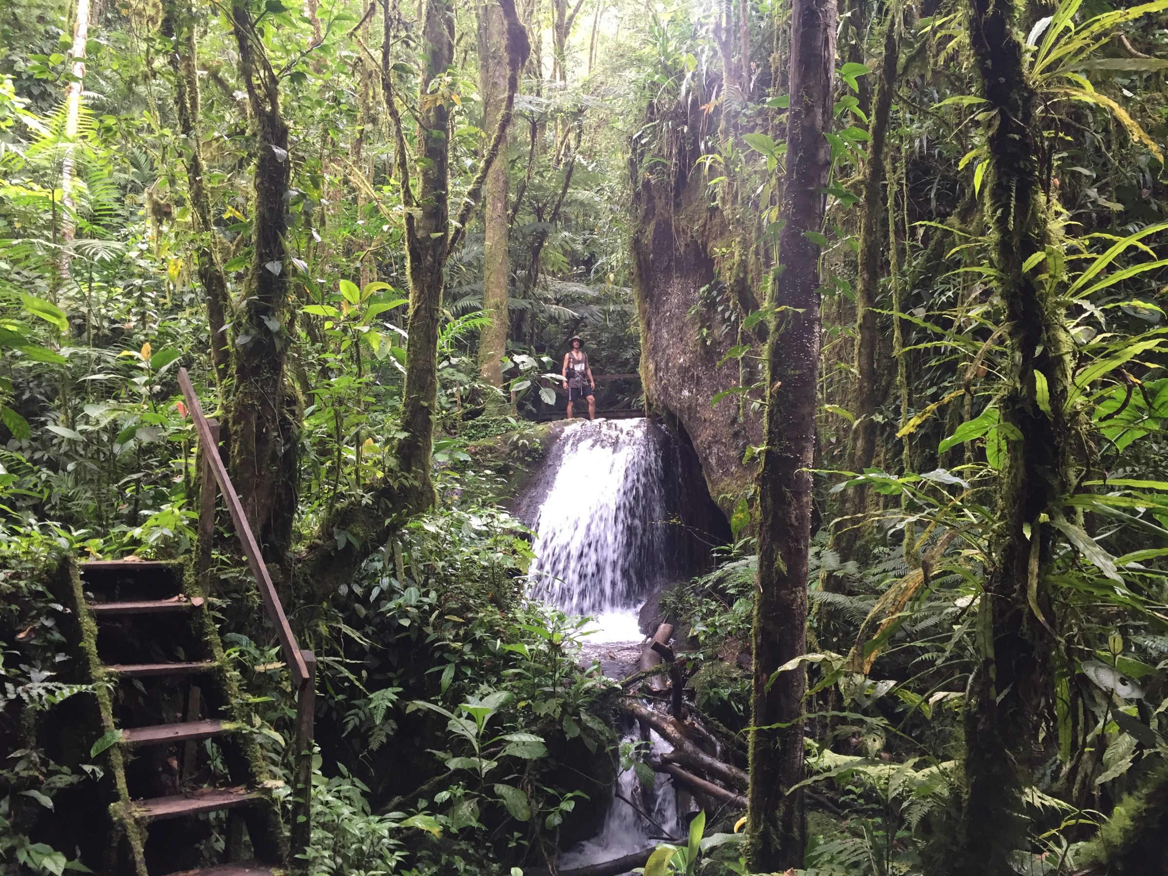 Ett vattenfall från regnskogen under vattenfallsvandringen | Tour a la Casada, Penas Blancas