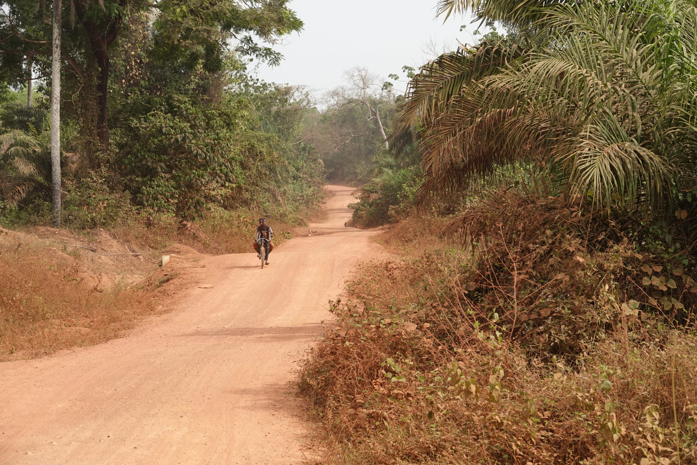 Route langs National Parc Taï | Overlanden in Ivoorkust