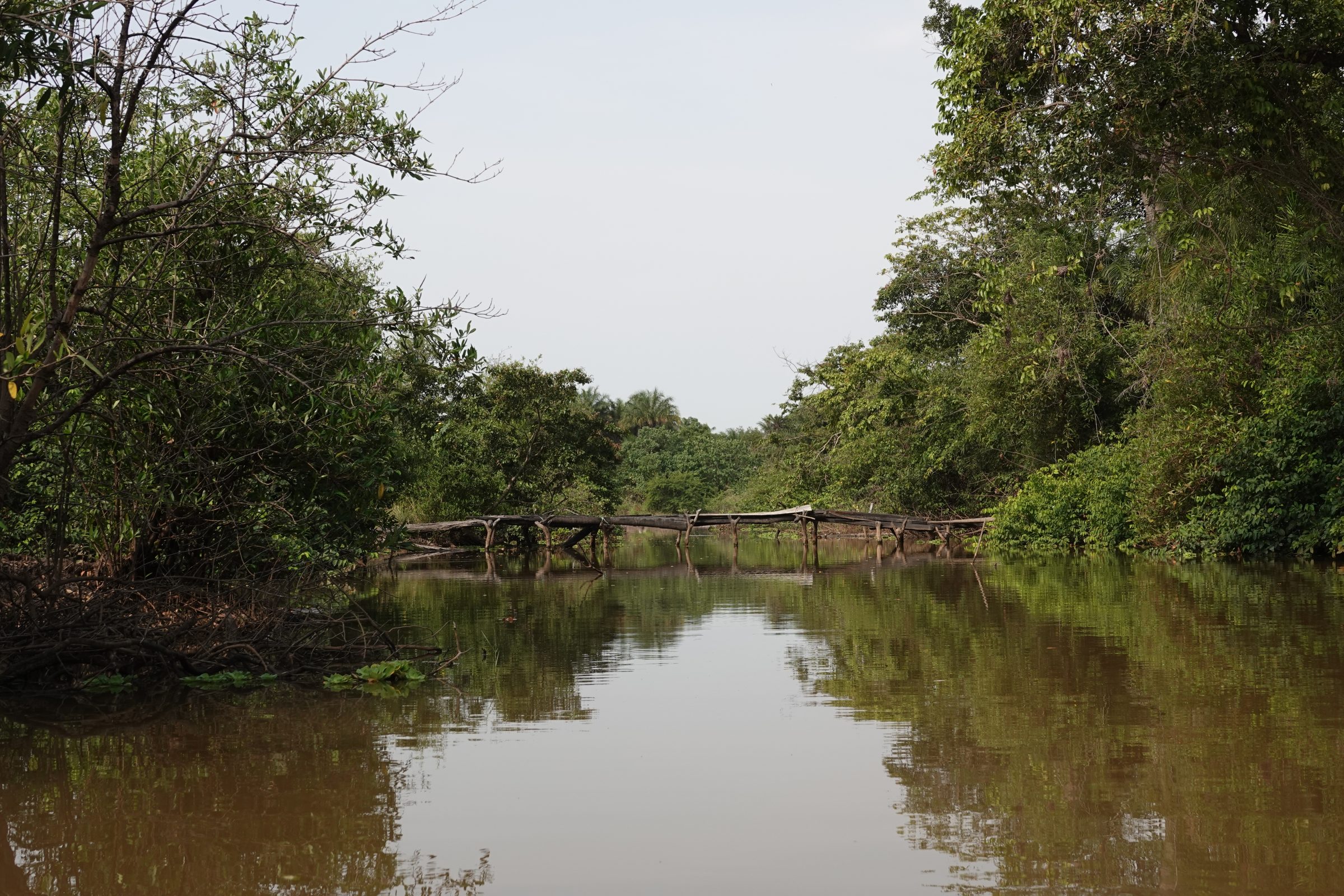 Rustgevende rivier | Marakissa River