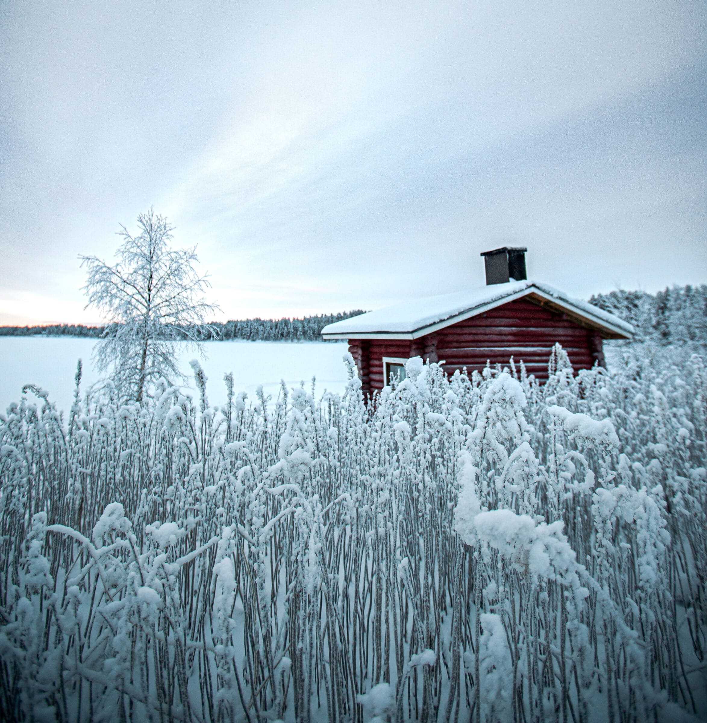 Een sauna in de sneeuw | Rondreis Lapland, het winterwonderland