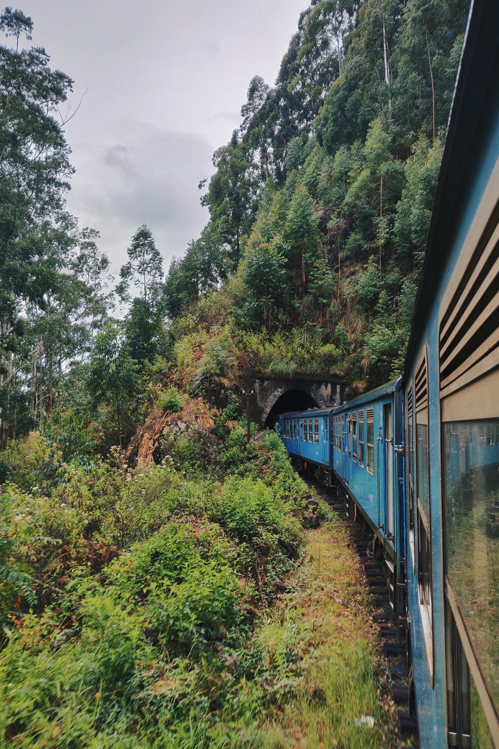 Trein Sri Lanka 1 | reisroute sri lanka | Wereldreizigers.nl