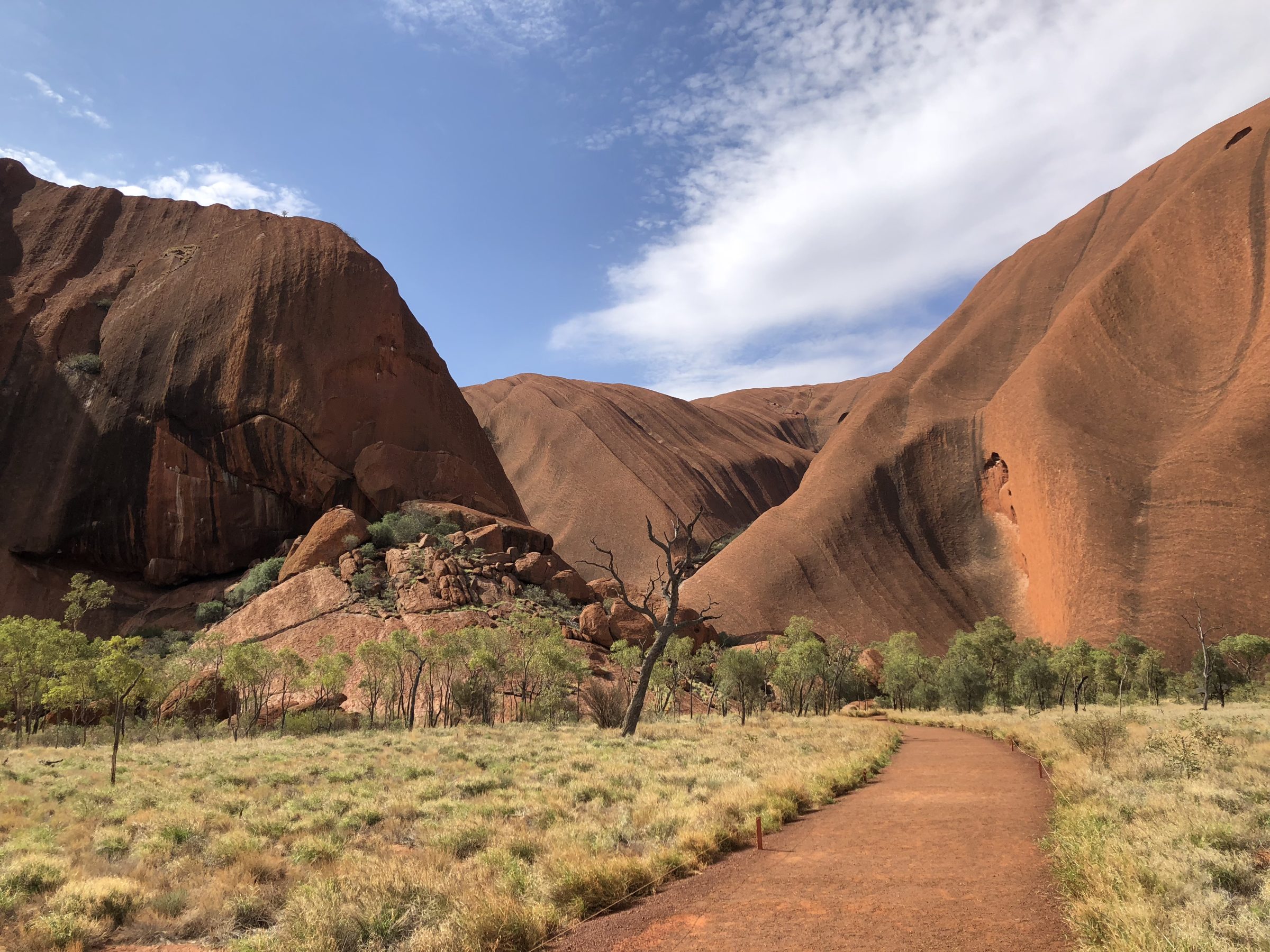 Uluru Ayers Rock | Toyota Hilux 4x4 camper | Wereldreizigers.nl