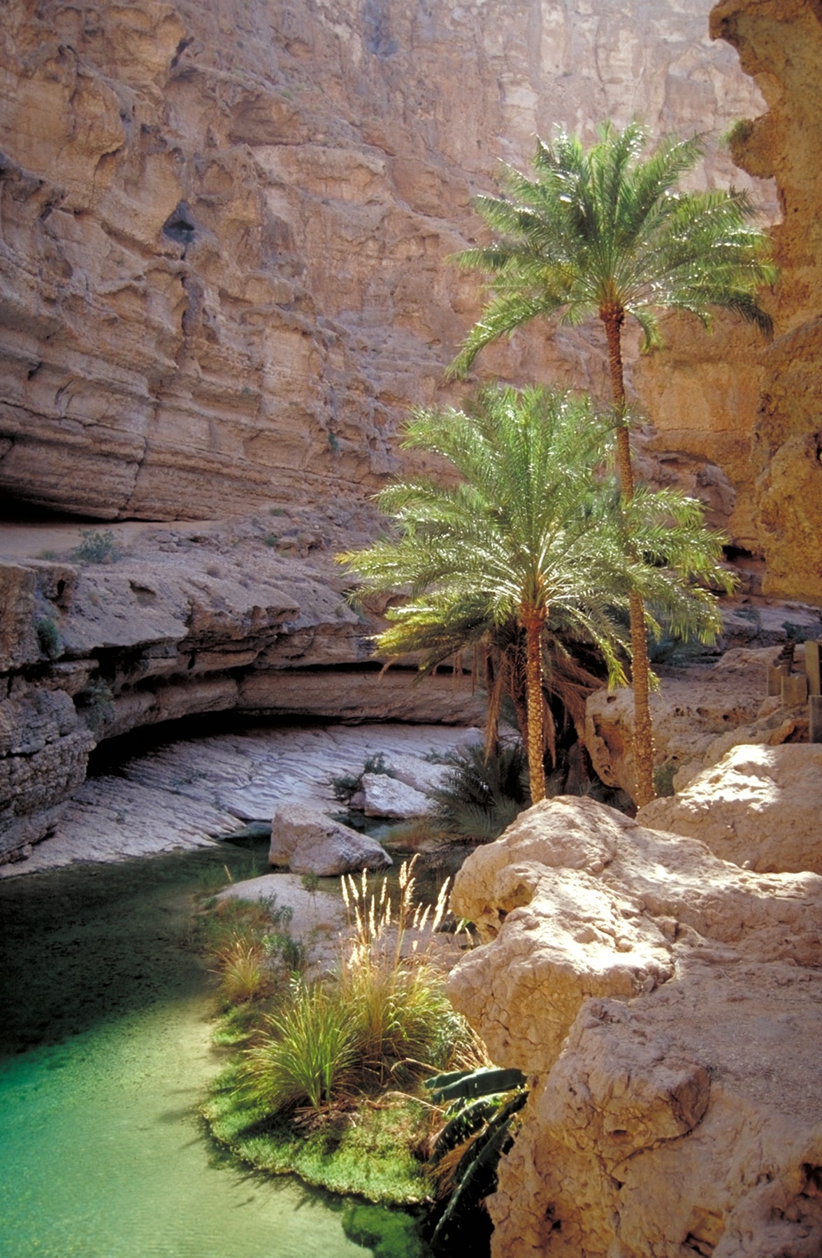 وادي بني خالد | أجمل الرحلات في العالم!