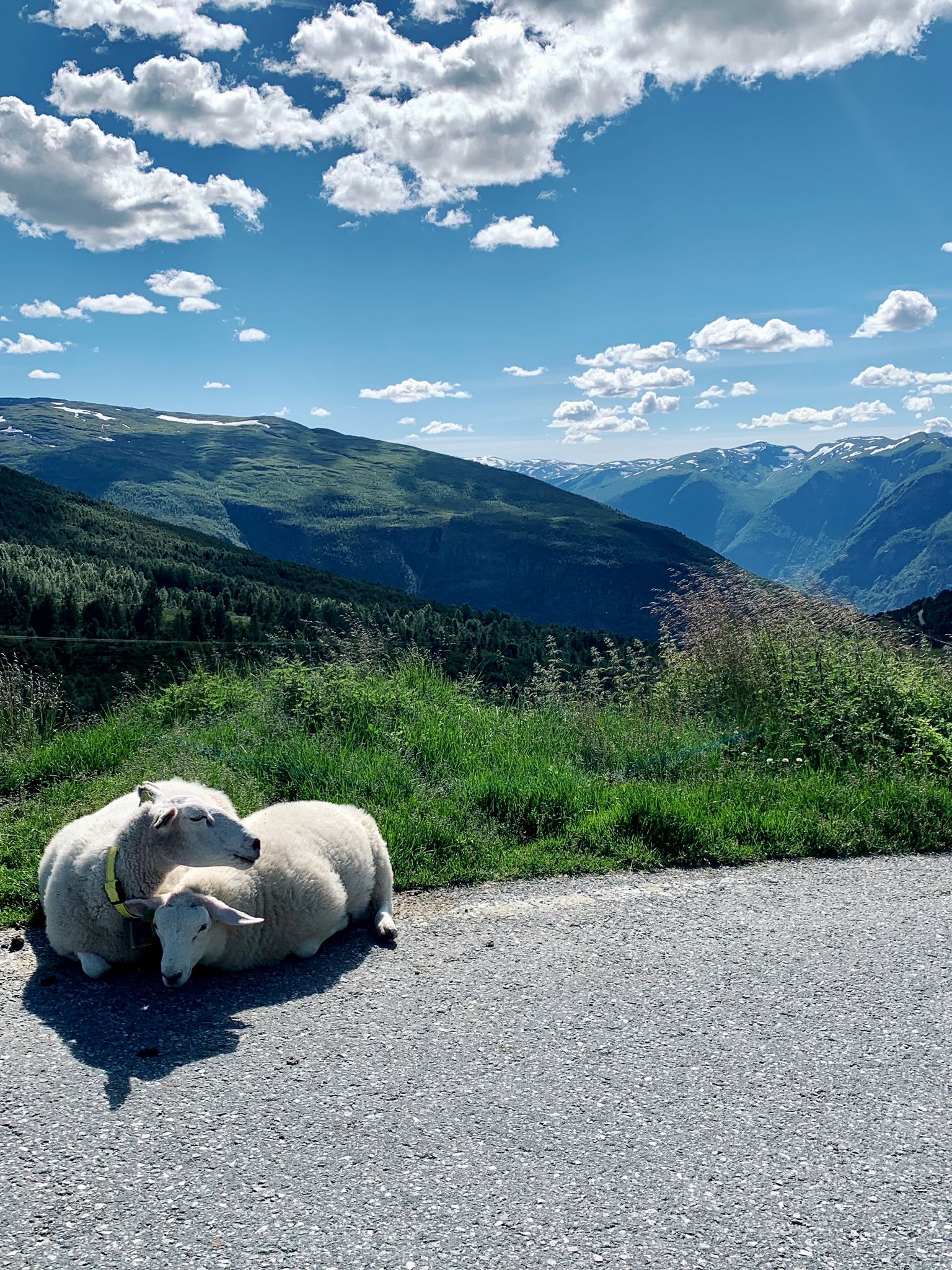 Aurlandfjellet | National Scenic Routes | Auto en camperroutes Noorwegen