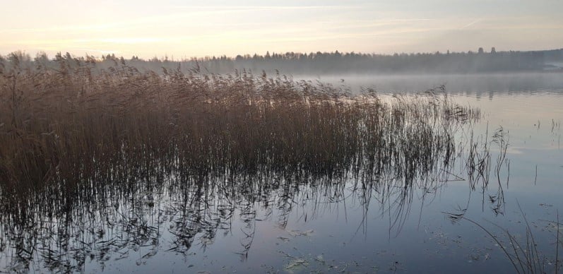 Autunno in Svezia | Intorno al Mar Baltico in inverno