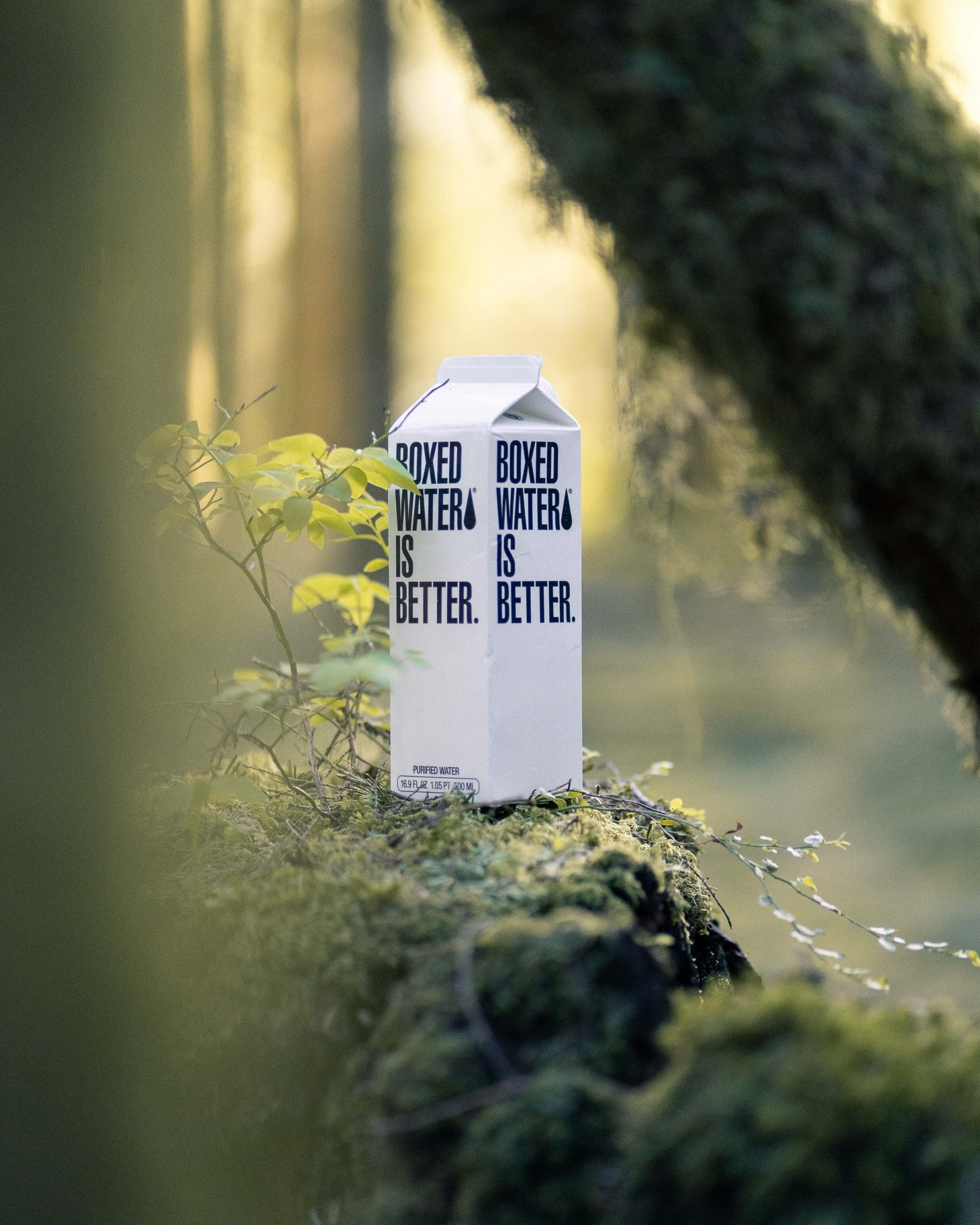 boxed water is better | reisbranche | Wereldreizigers.nl