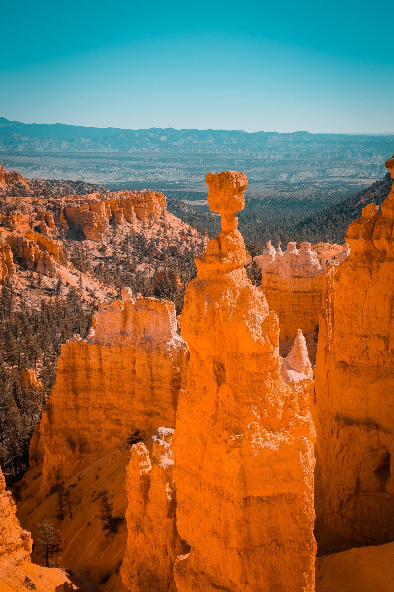 Bryce | I punti salienti dell'Occidente