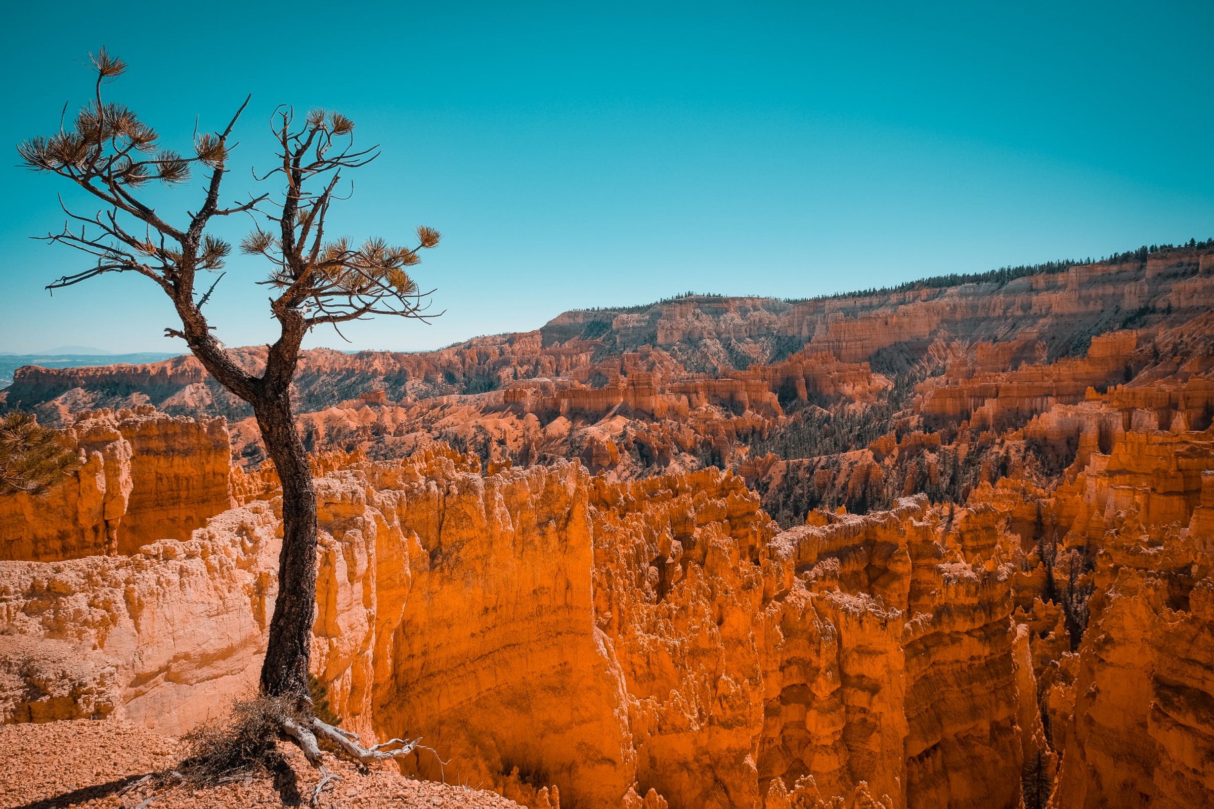 Bryce Canyon nasjonalpark