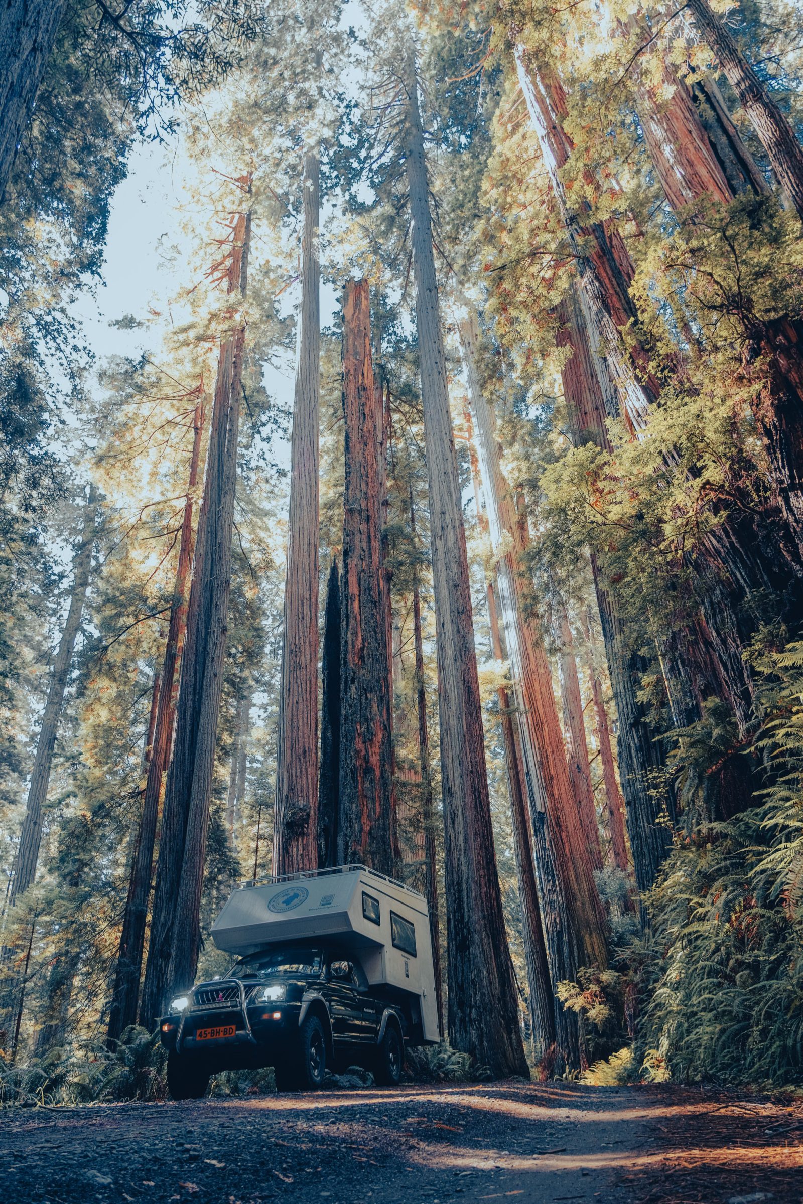 Redwood National Park | De Wereldreizigers.nl camper tussen torenhoge Redwoods