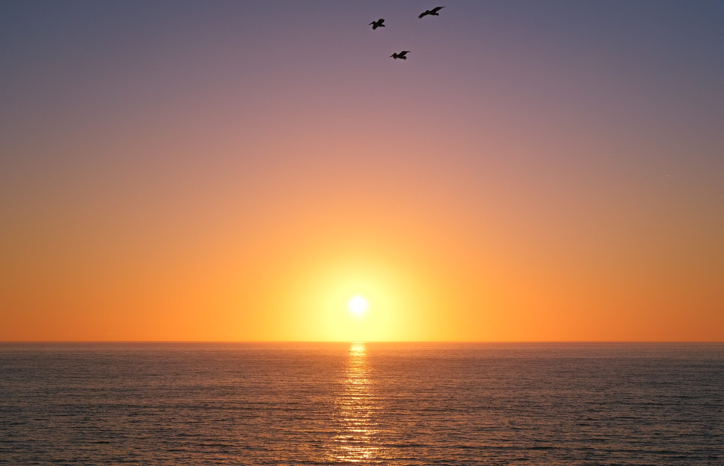 Une mer calme, le soleil couchant et des pélicans qui volent au-dessus. Tranquillité ultime.