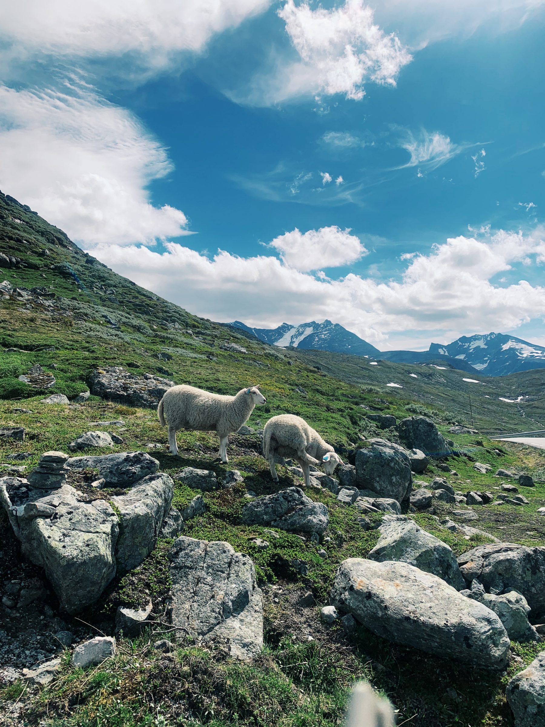 Sognefjellsvegen | National Scenic Routes | Auto en camperroutes Noorwegen