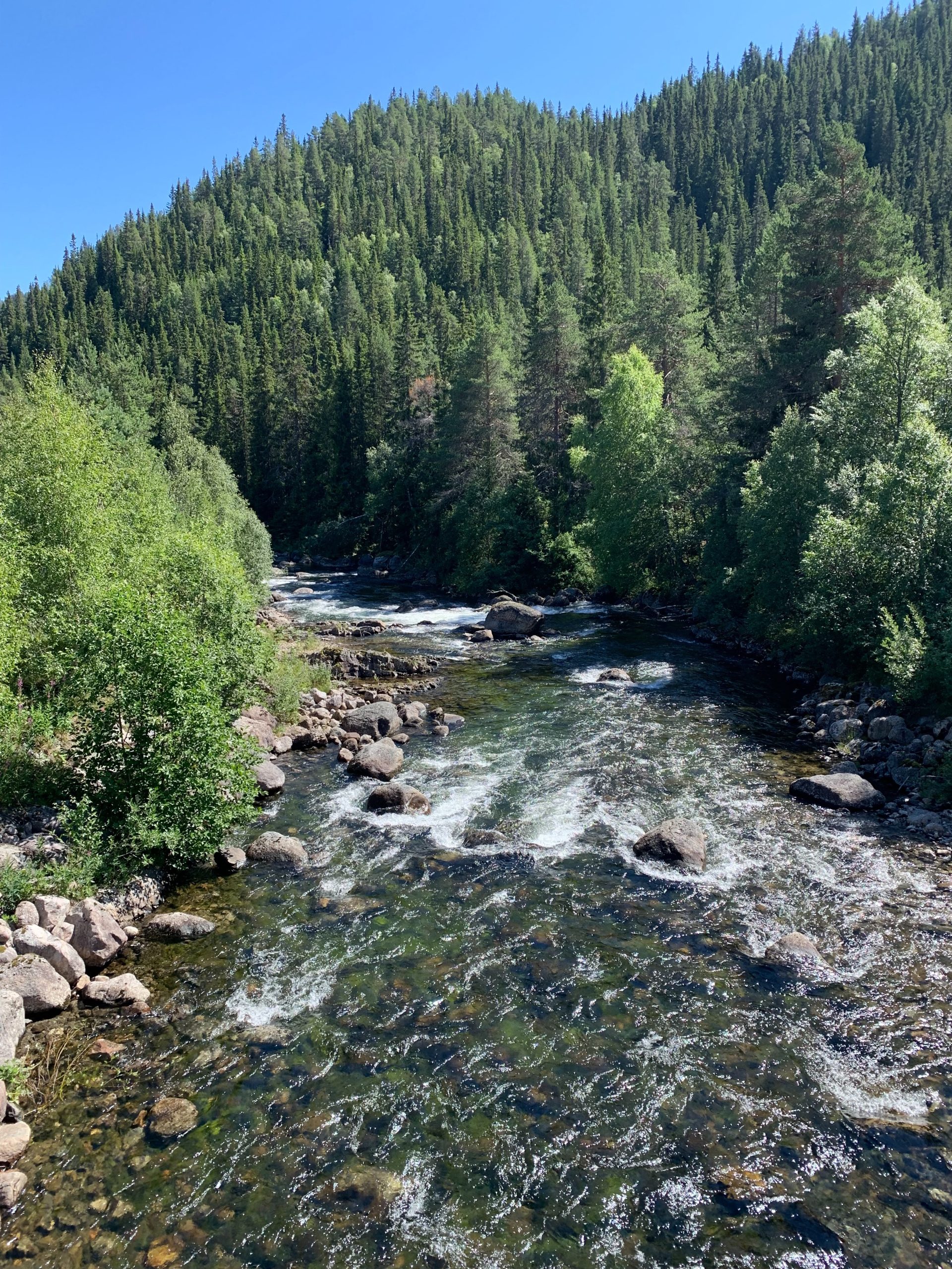 Rivier in de natuur van Noorwegen