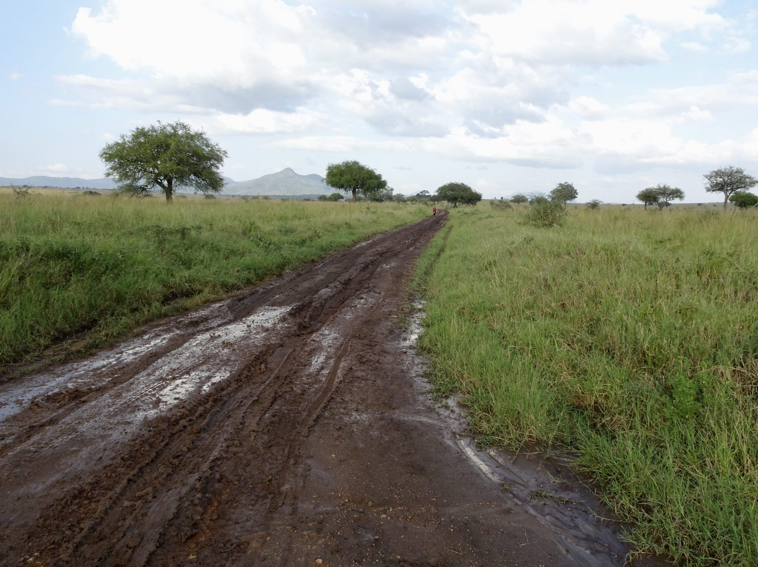 Modderige wegen in Kidepo Valley NP