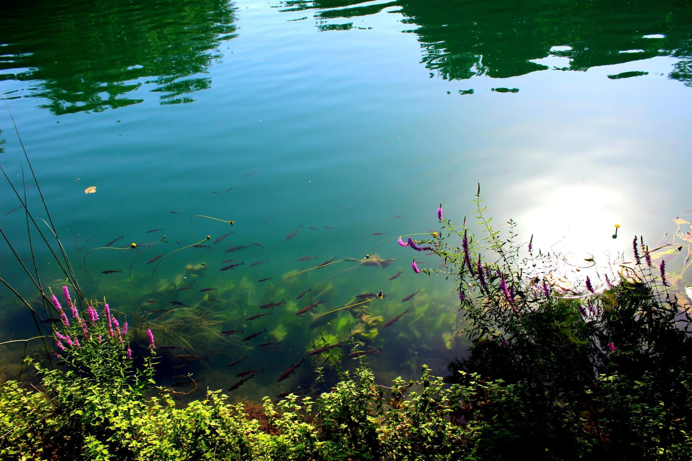 Krka watervallen, Kroatië