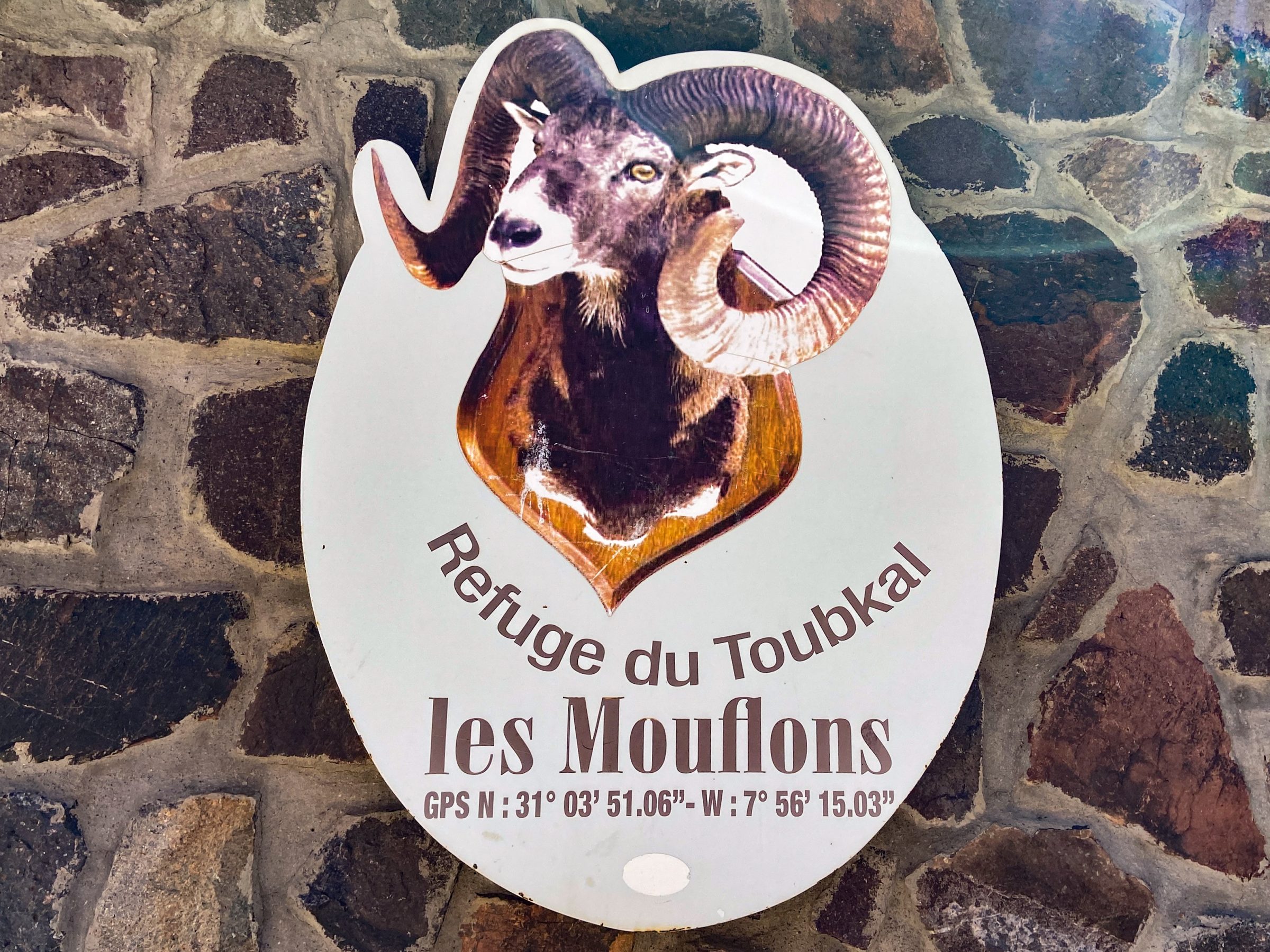 les Mouflons | Toubkal klim