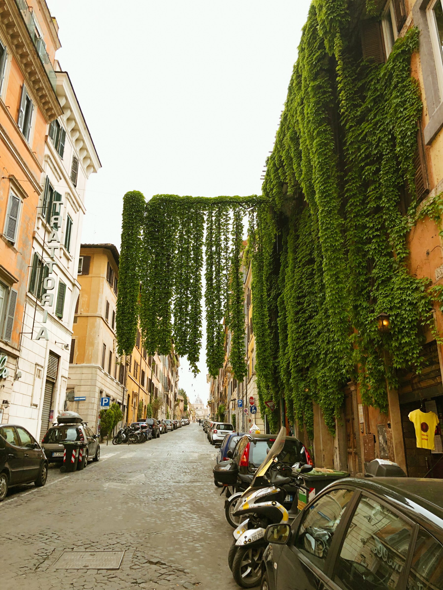 Groen in Rome